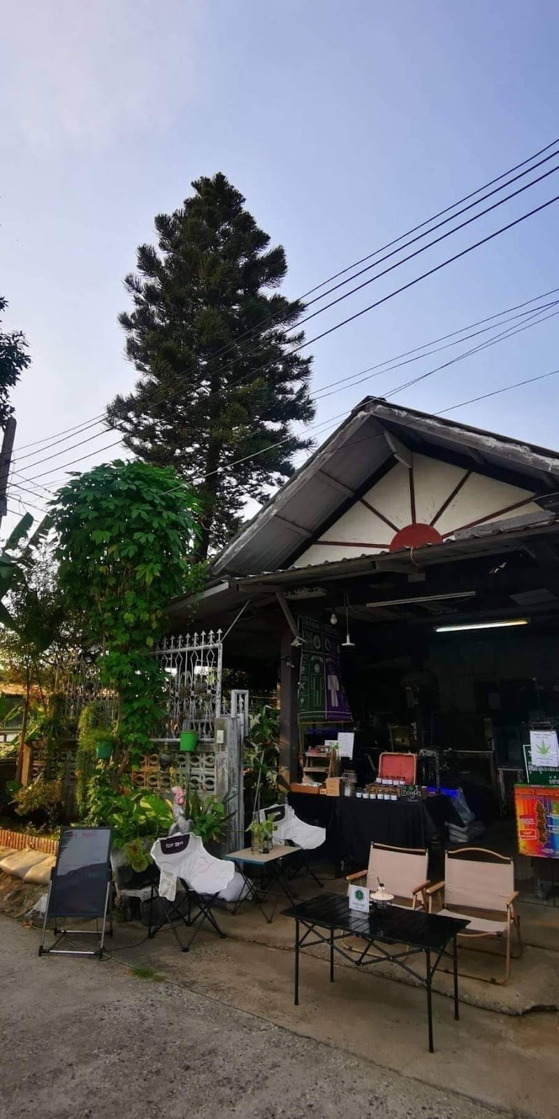Bongja Paknam