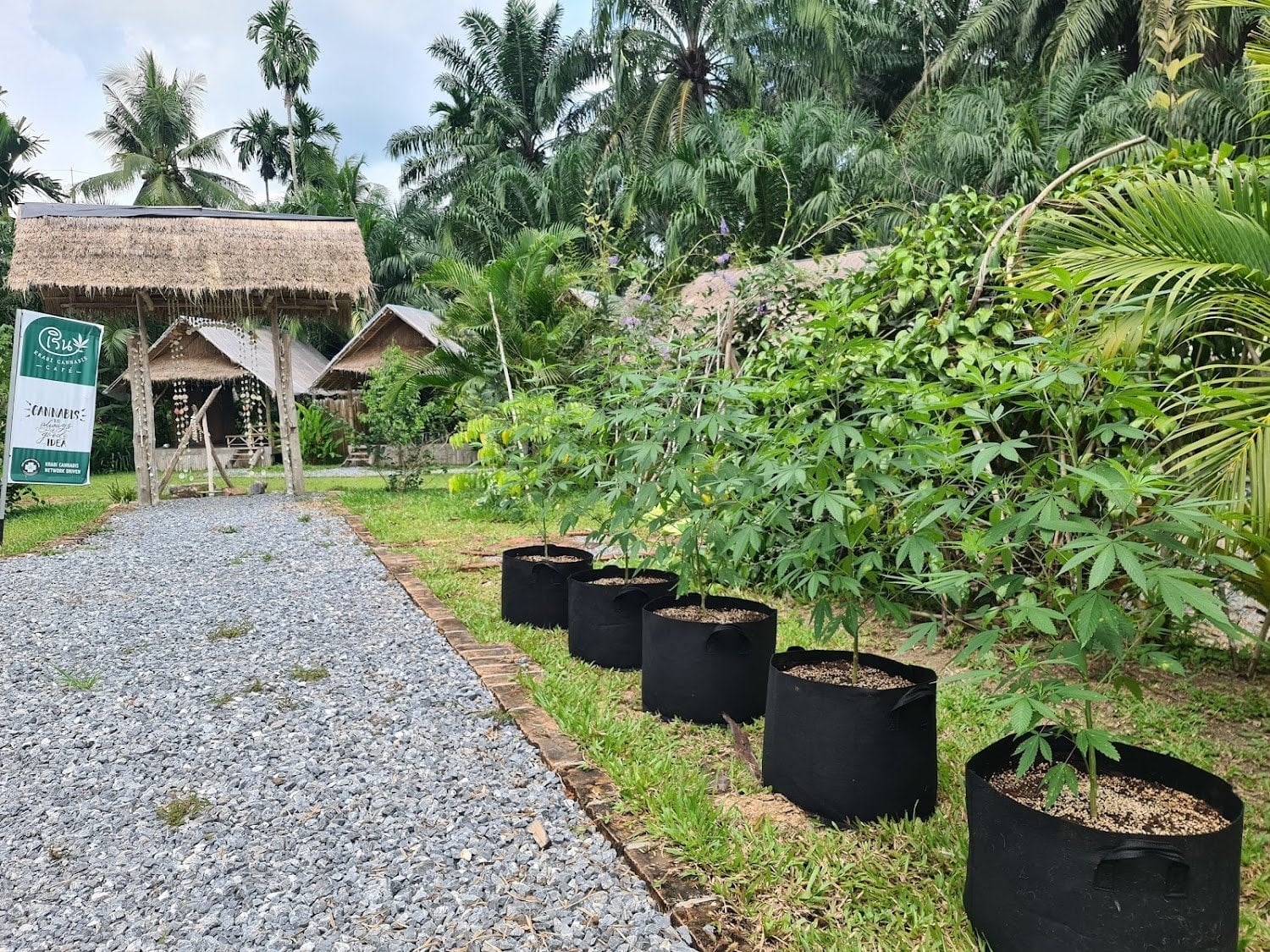 Rern Cafe And Cannabis