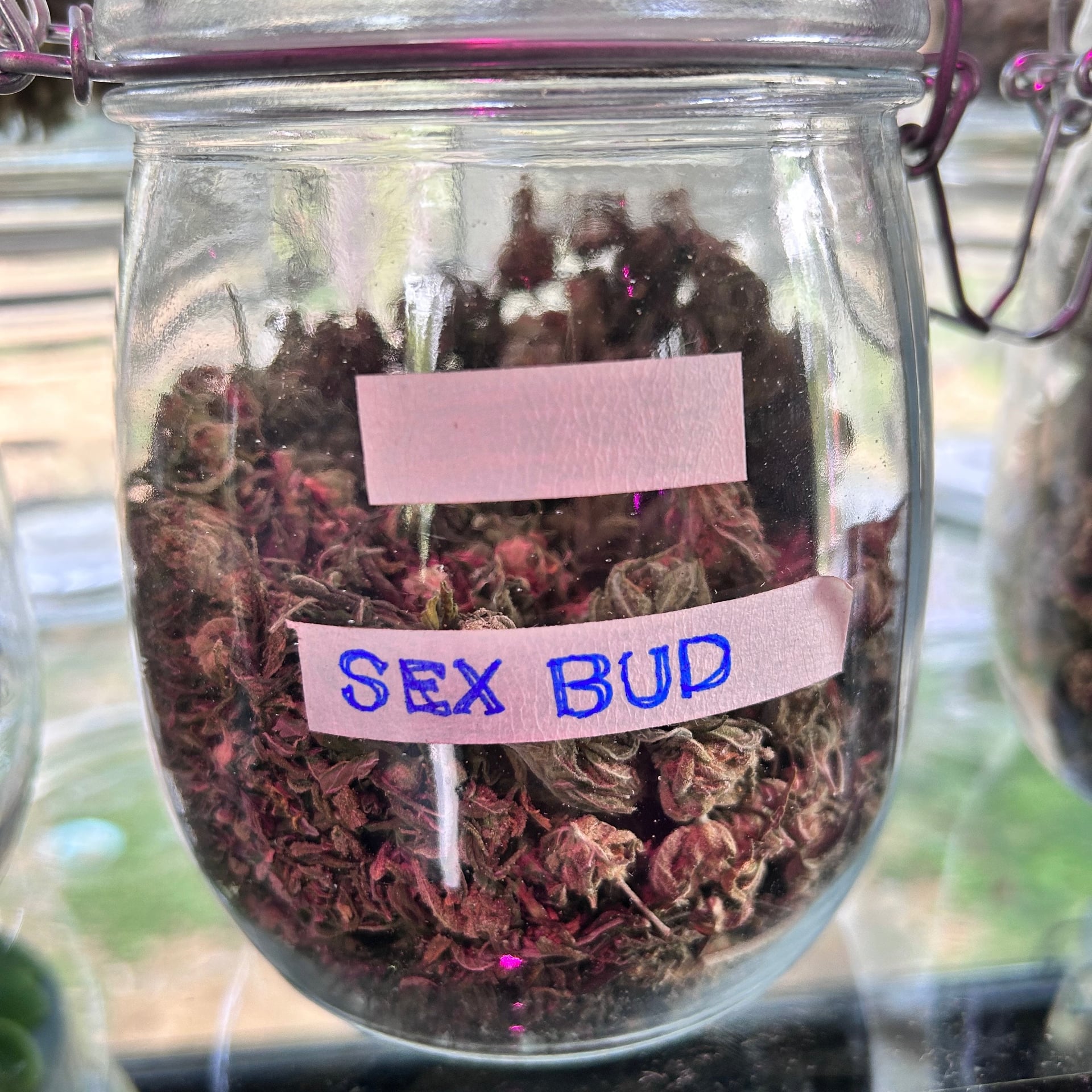 Herb Haven Cannabis