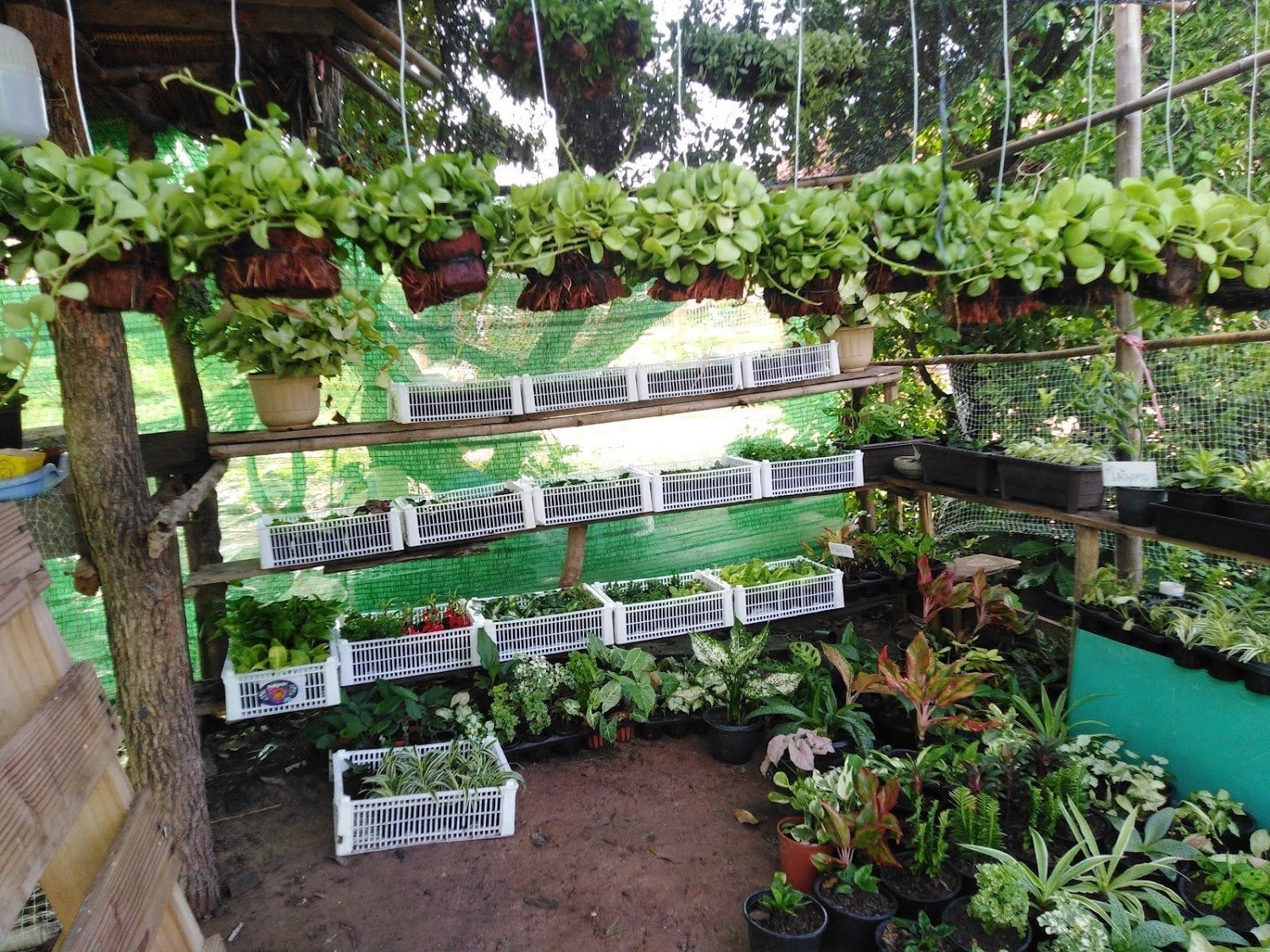 P2F Garden Home