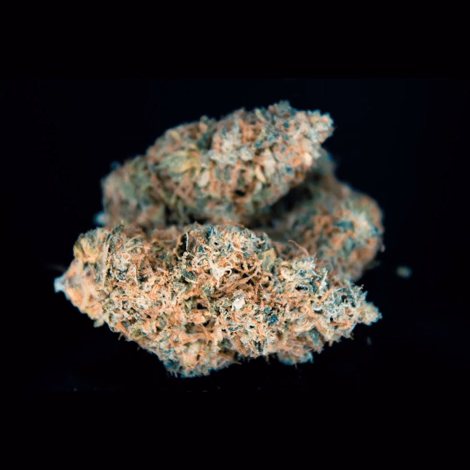 Cannabis Social Club Broccoli Lab logo
