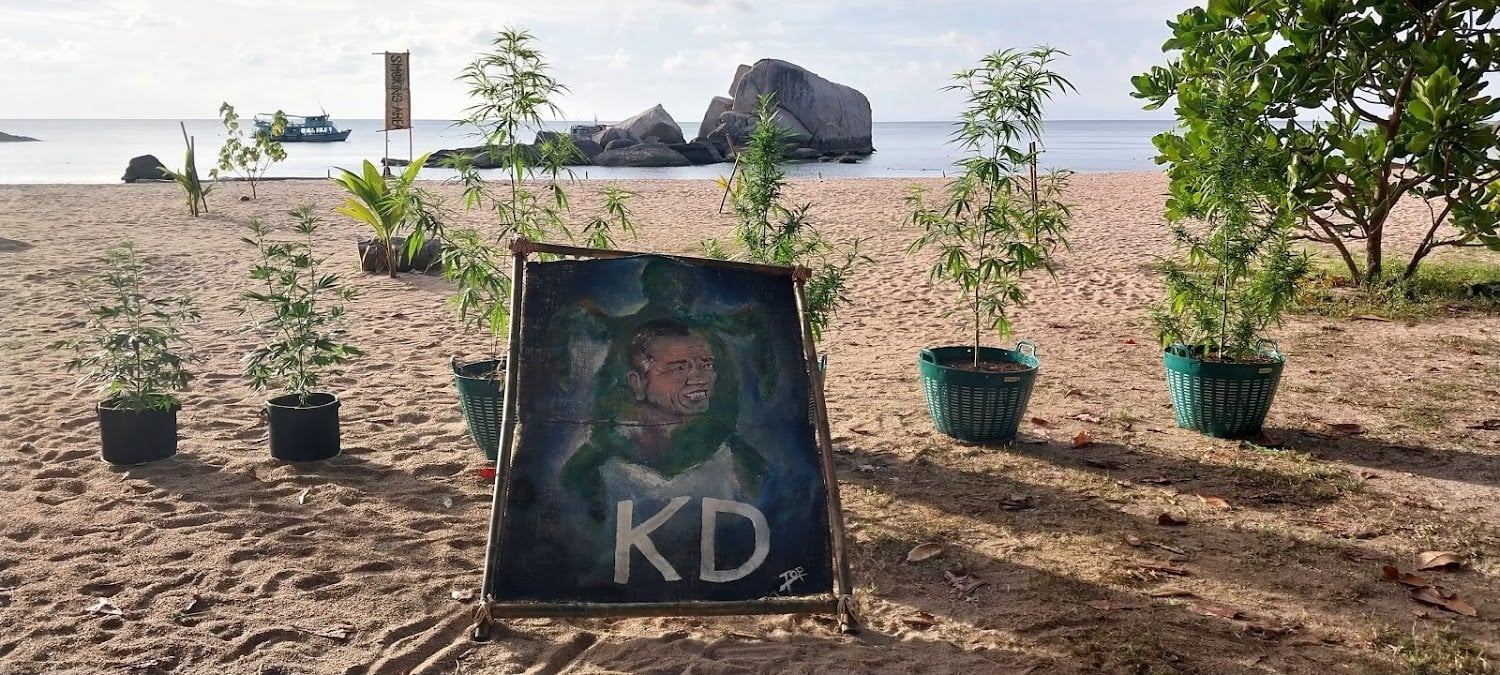 KD Genetics