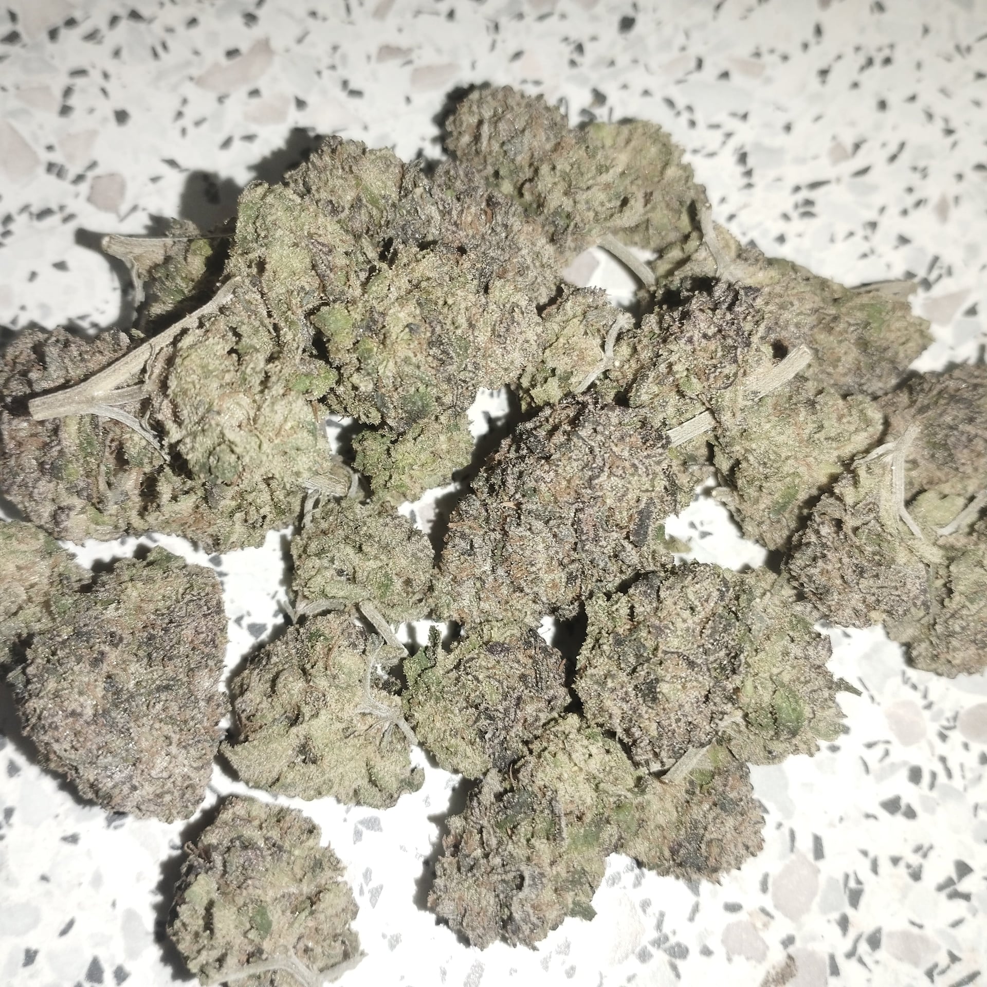 Evergreen Zone Medical Flowers