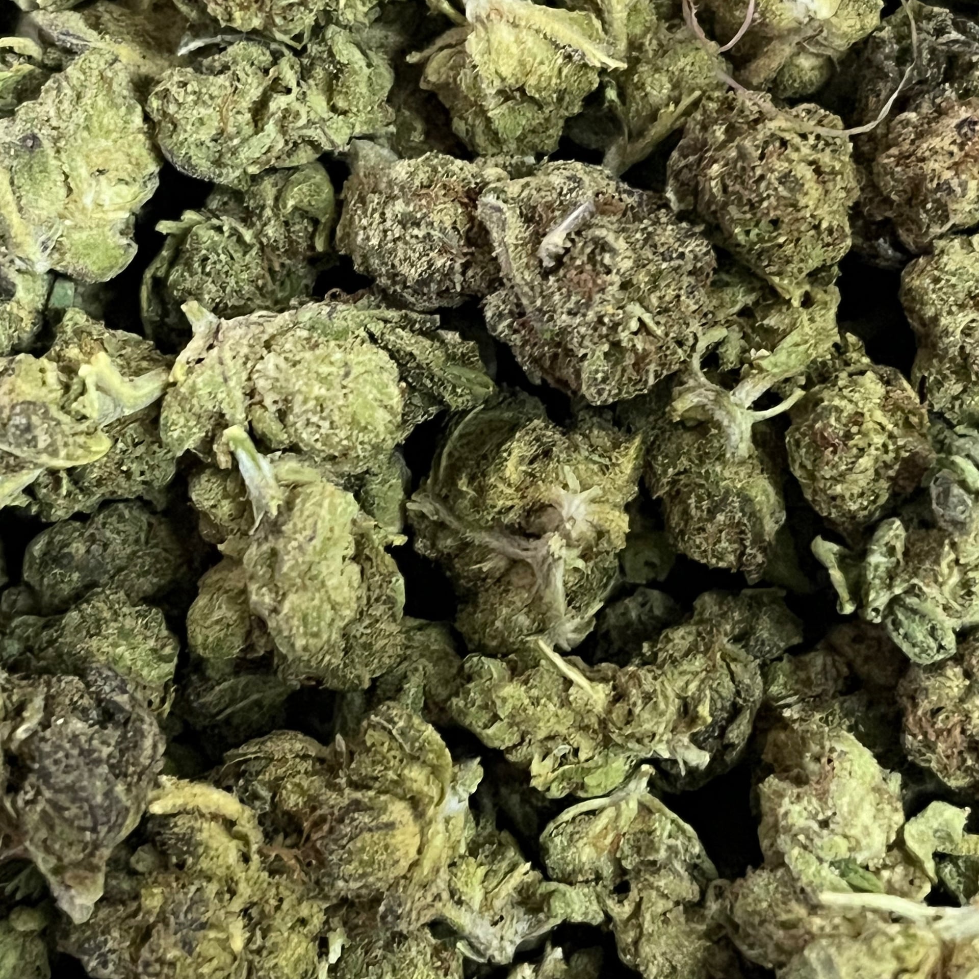 OG Of GOD