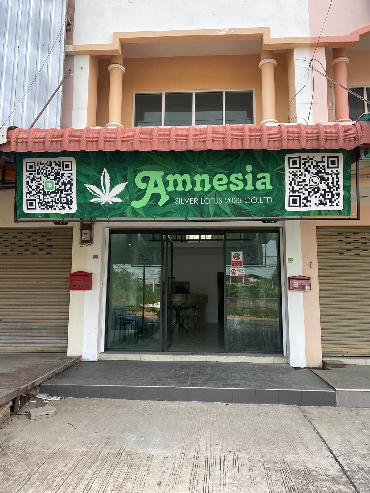 Amnesia