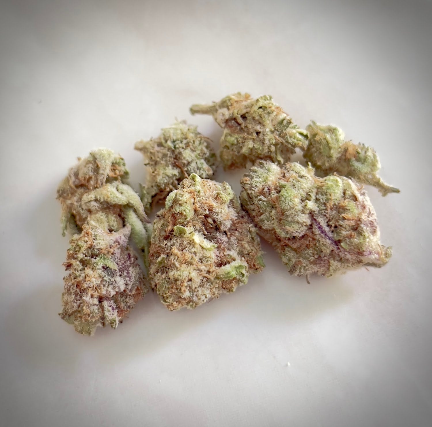Chaepweedshop2