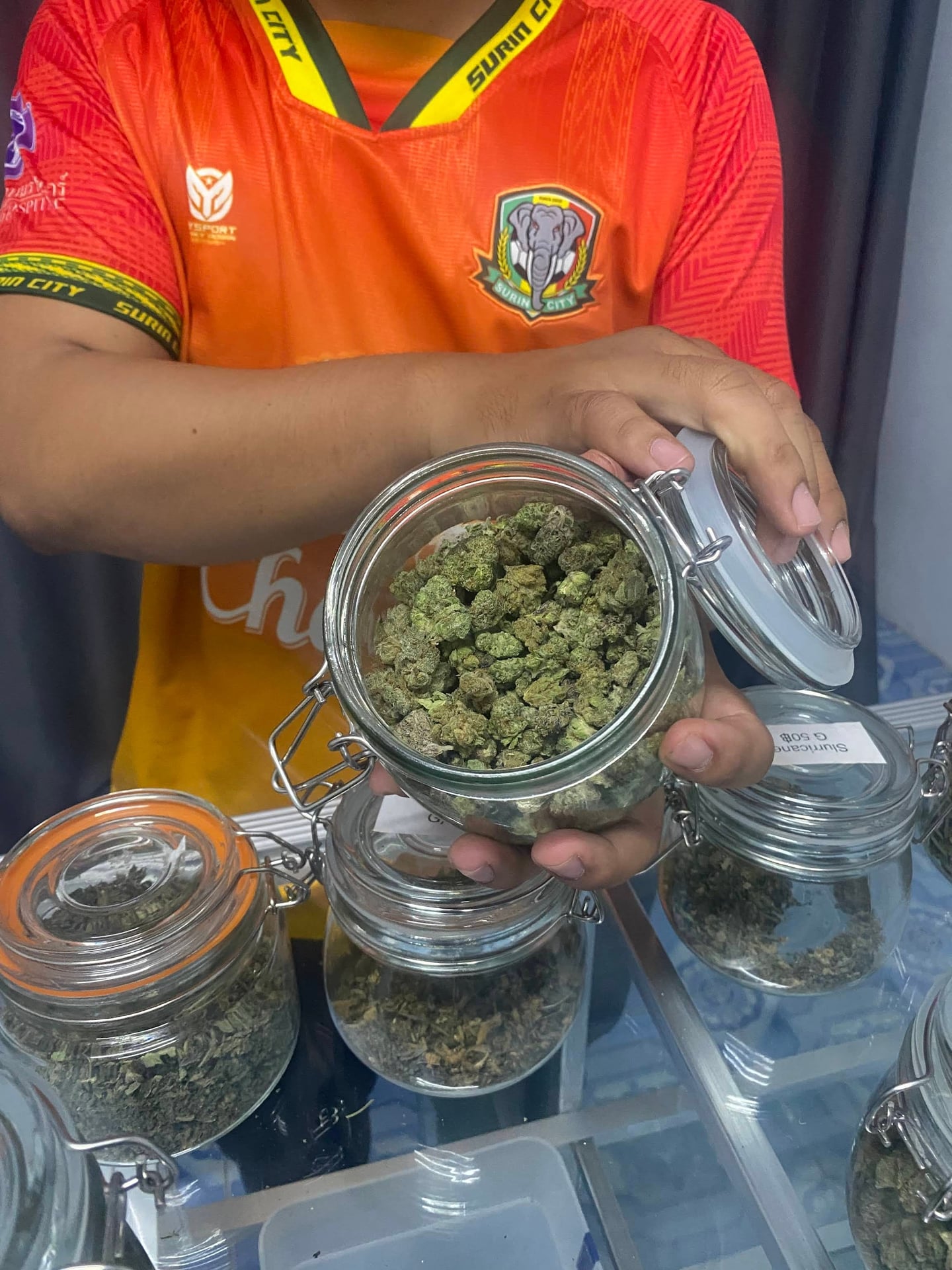 PN Cannabis