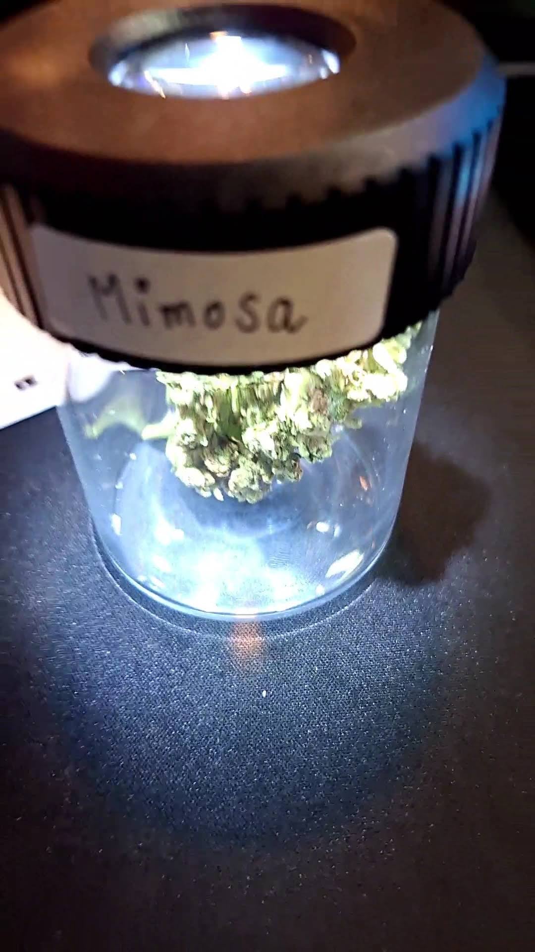 Monkey Weed Cafe