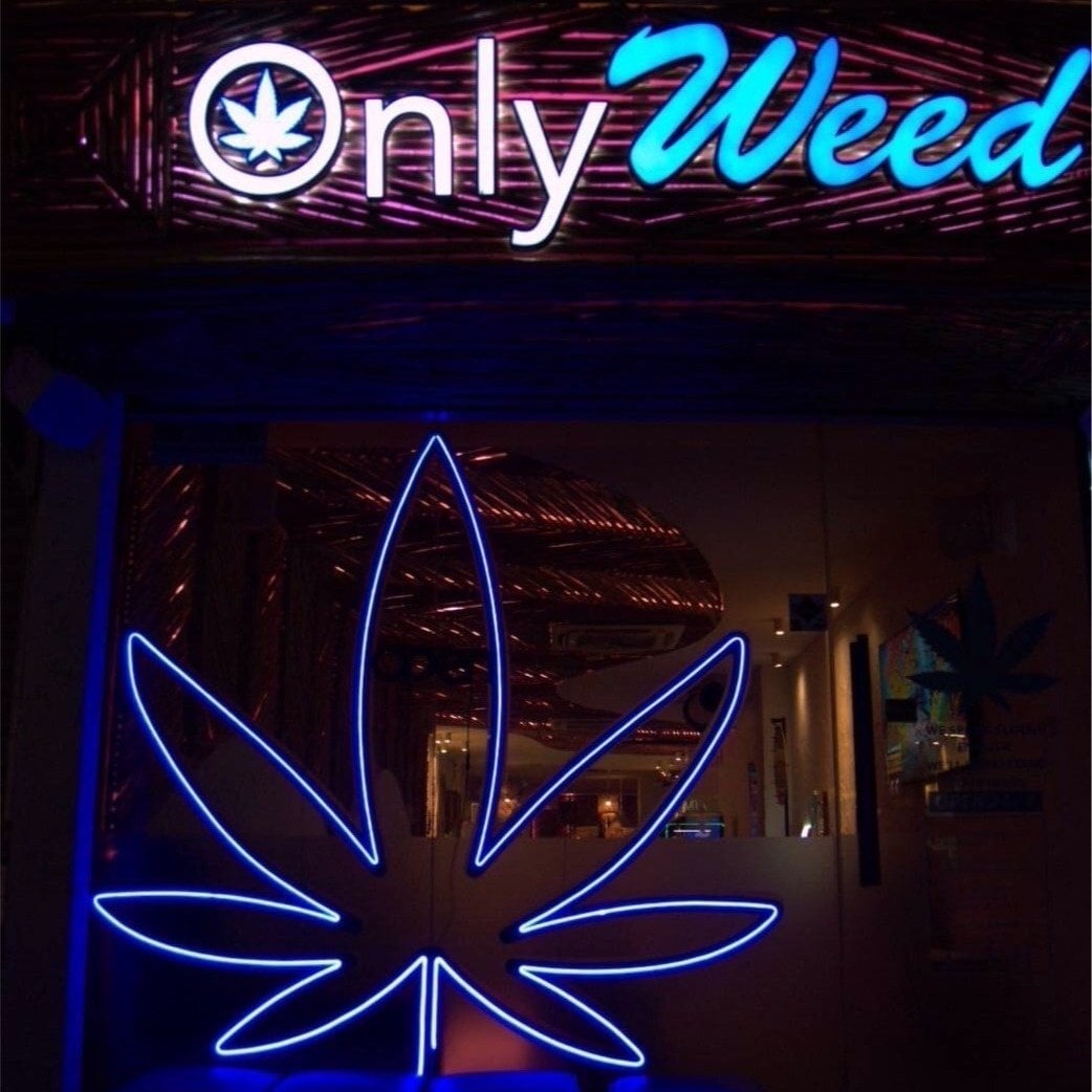OnlyWeed