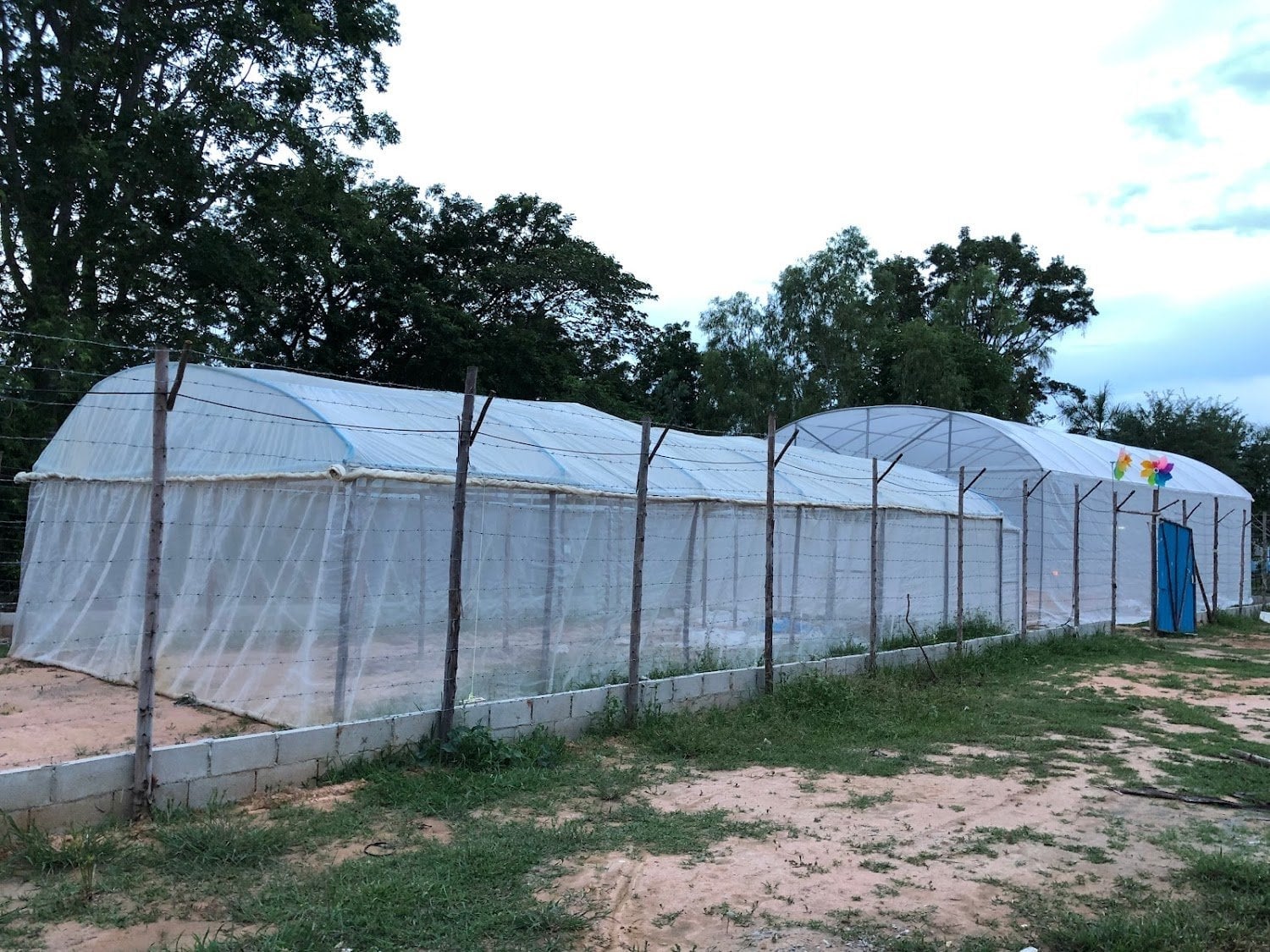Mee Hang Farm