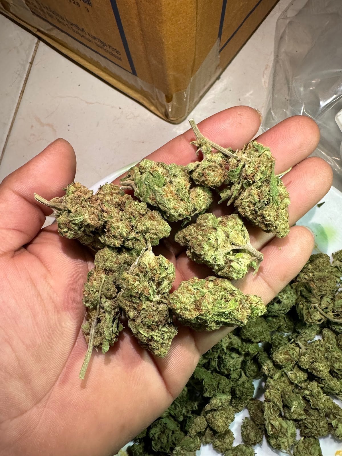 Zenleafshop1