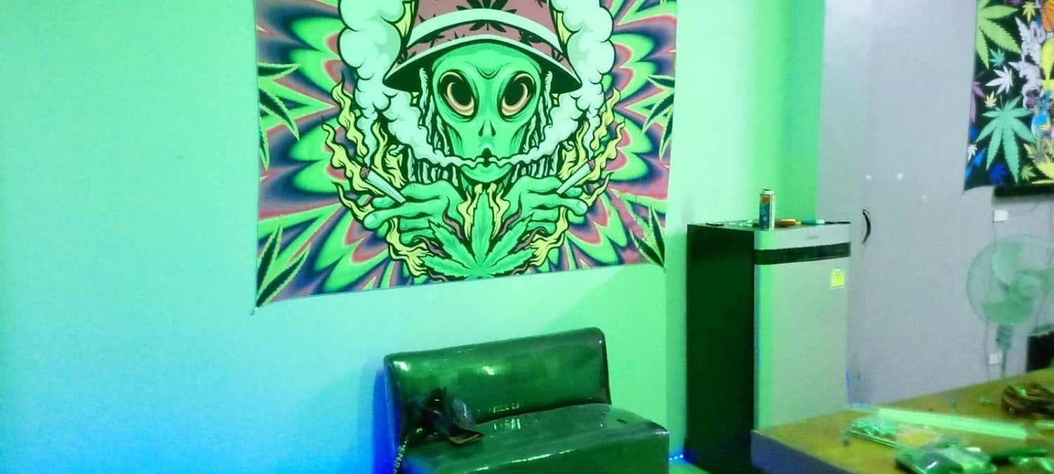 The Green Wizard