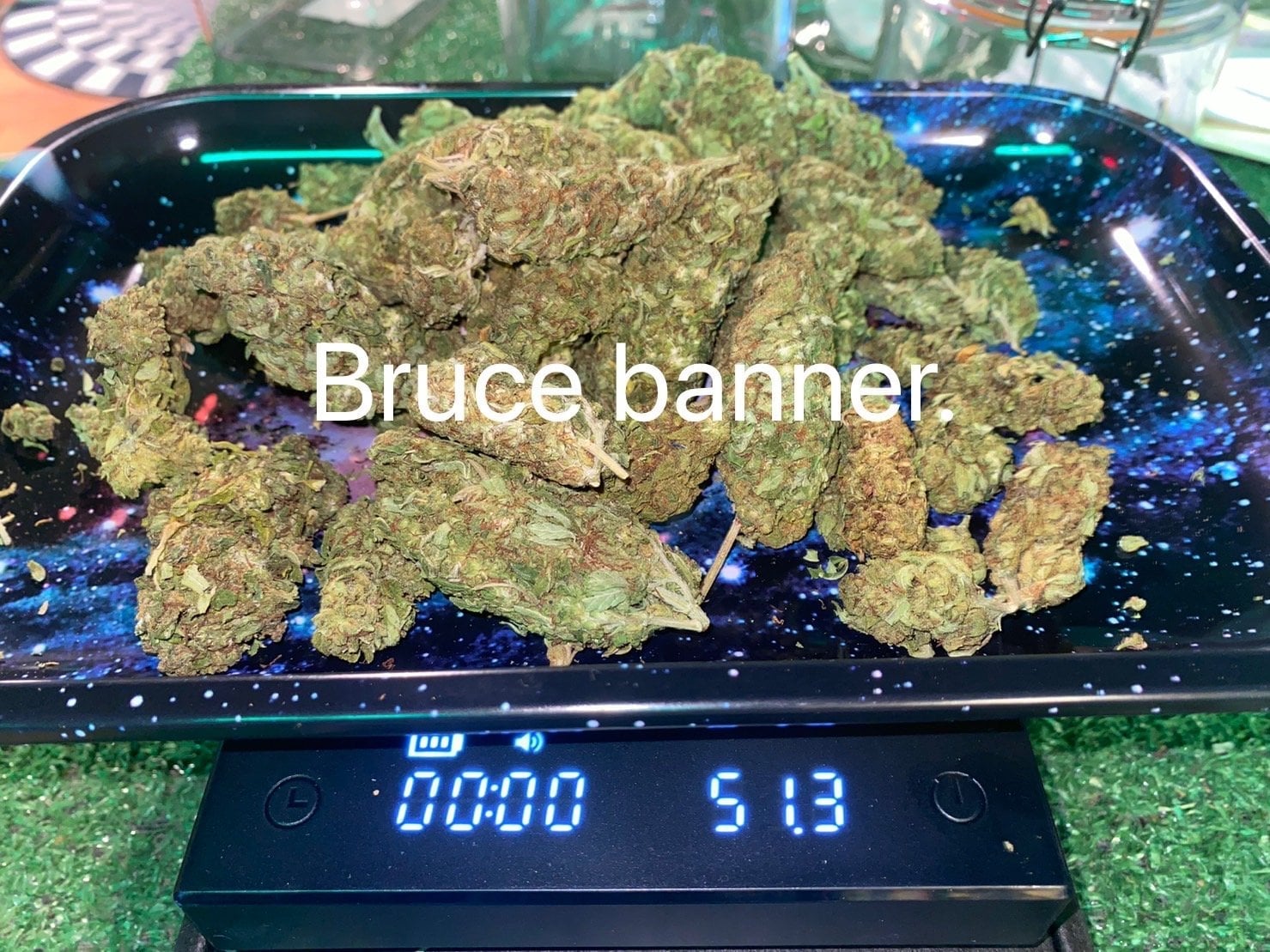 Mr.Billy. By Cannabisking
