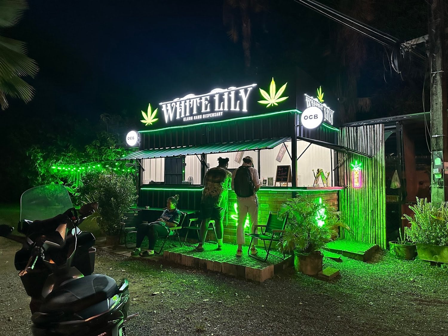 White Lily Cannabis Dispensary & Weed Shop Klong Hang Krabi