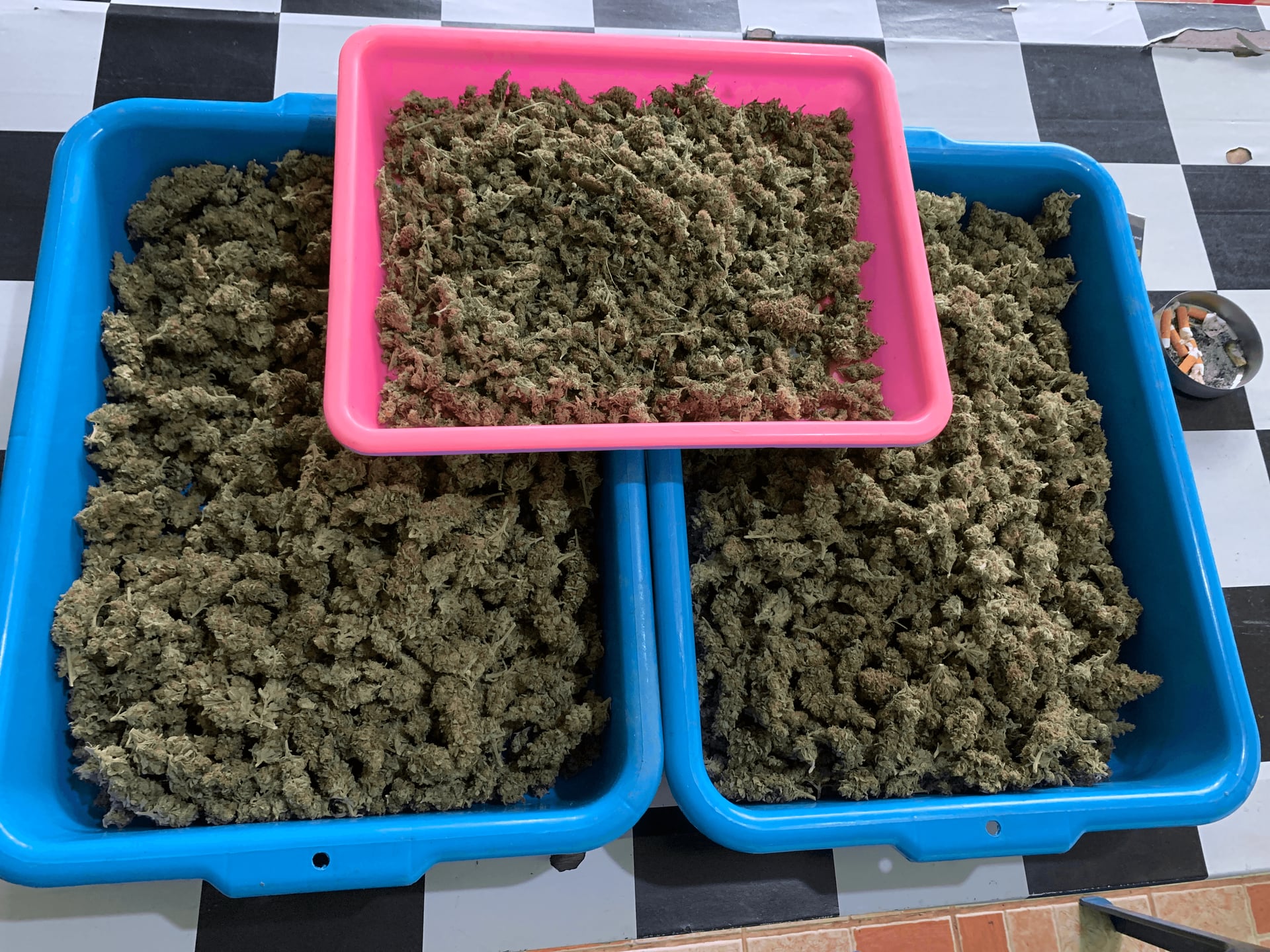Hemp Zone