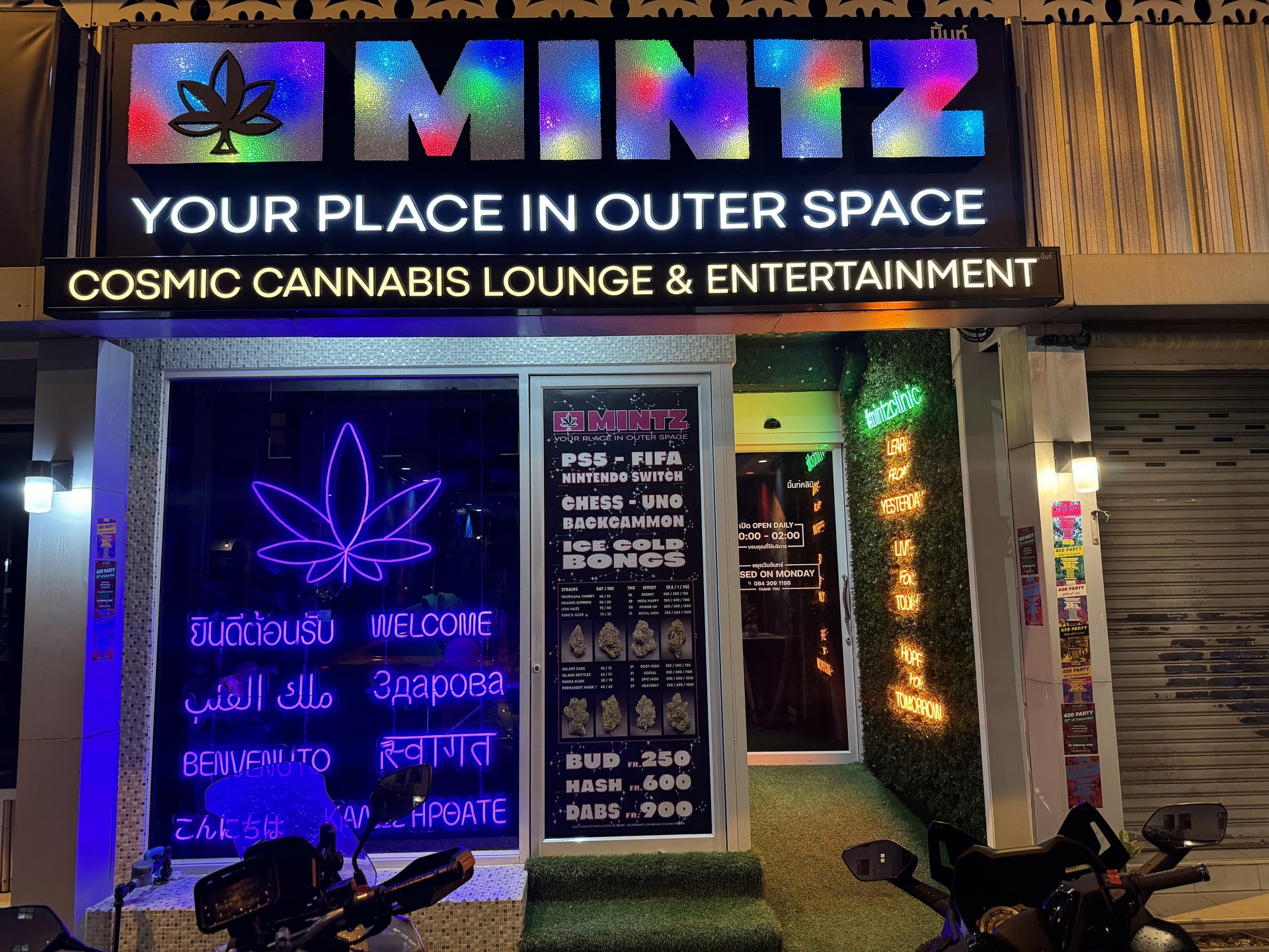 Mintz - Best Weed Phuket