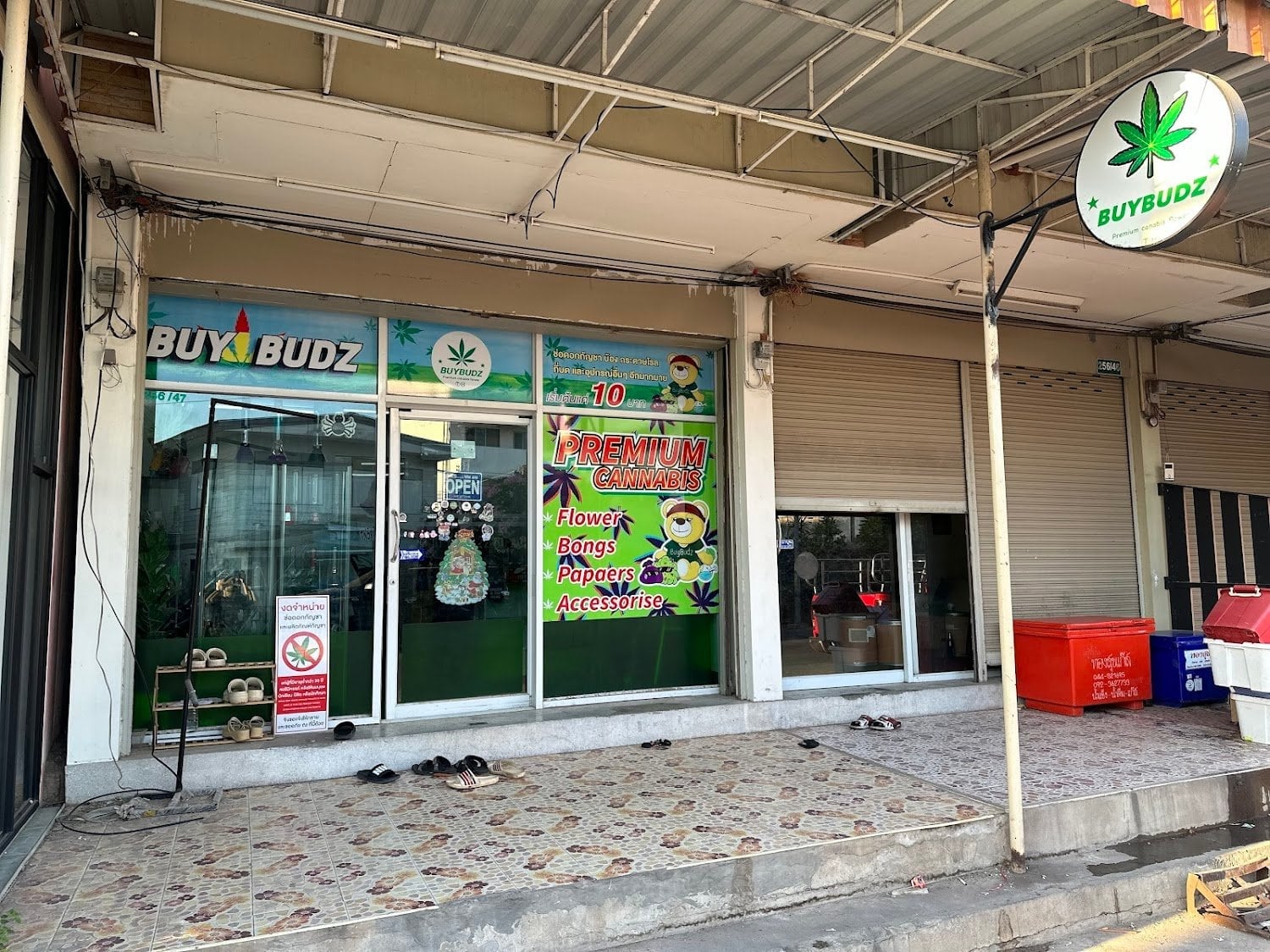 Buybudz Th