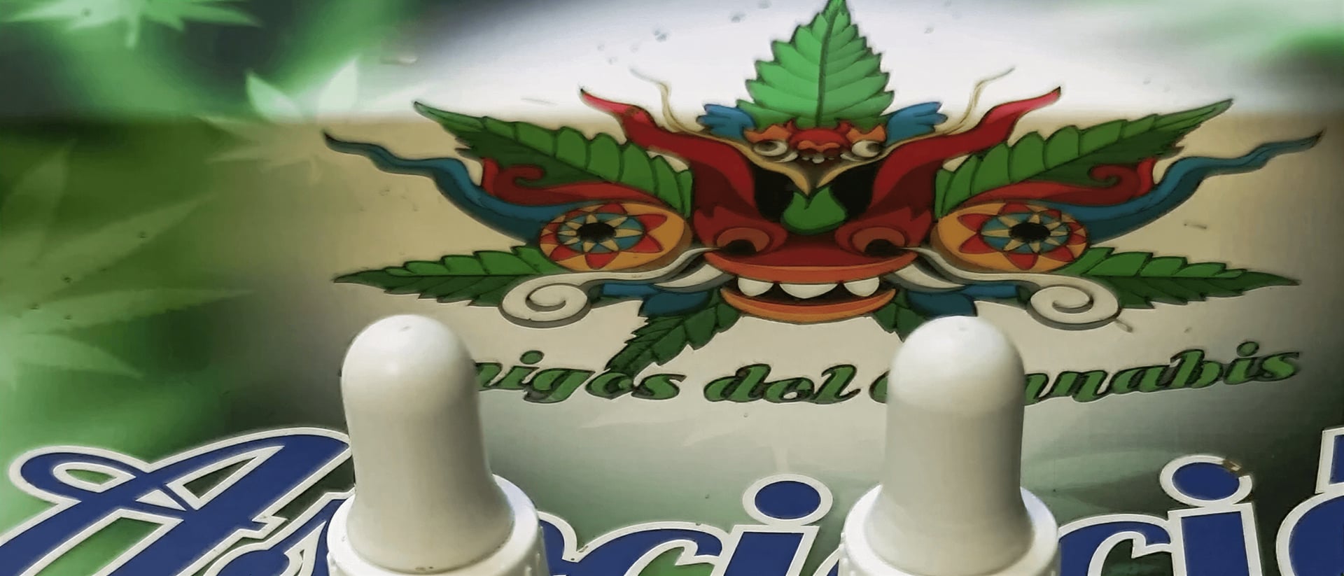 Clubcannabisvins hero