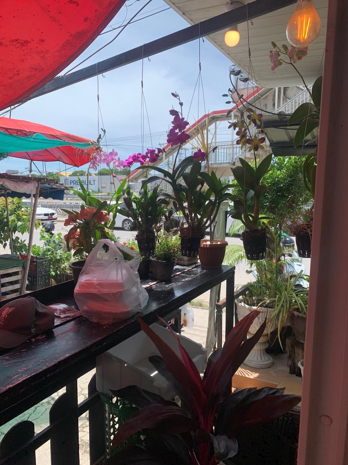 Hua Hin Cannabis