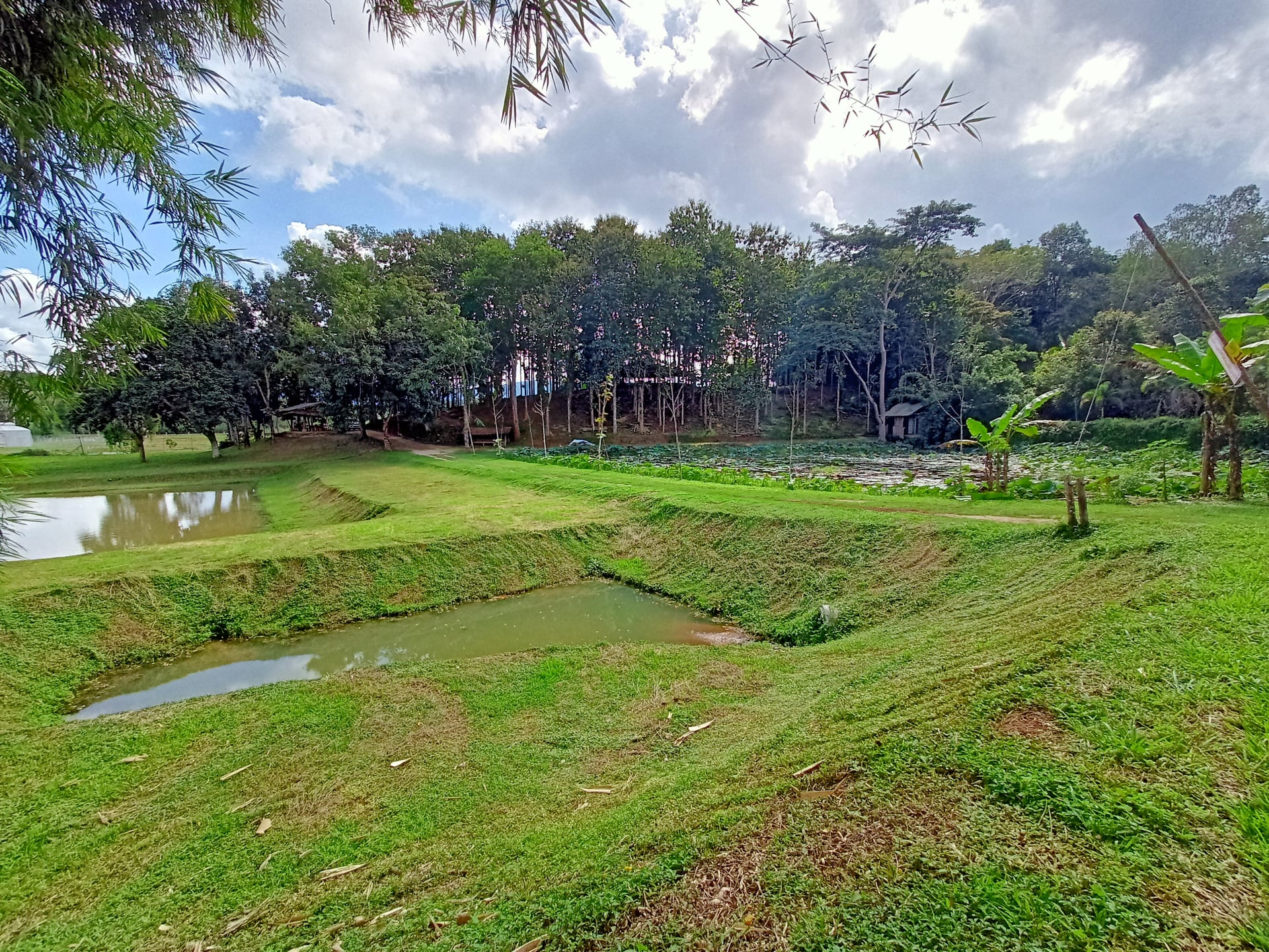 Innoleaf Valley