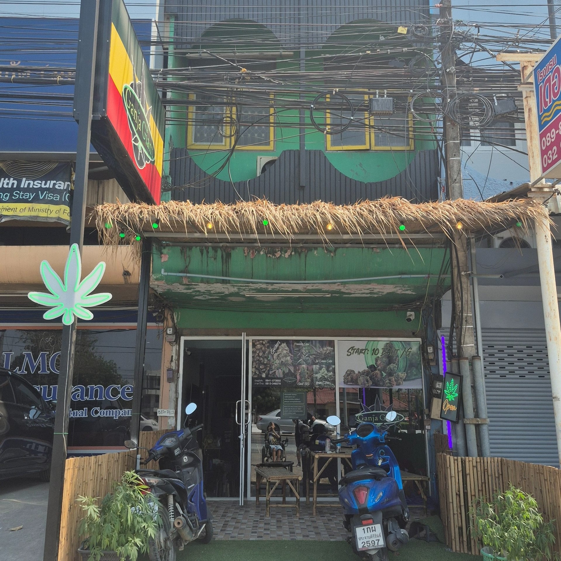 Ganja Giant 2, Pranburi
