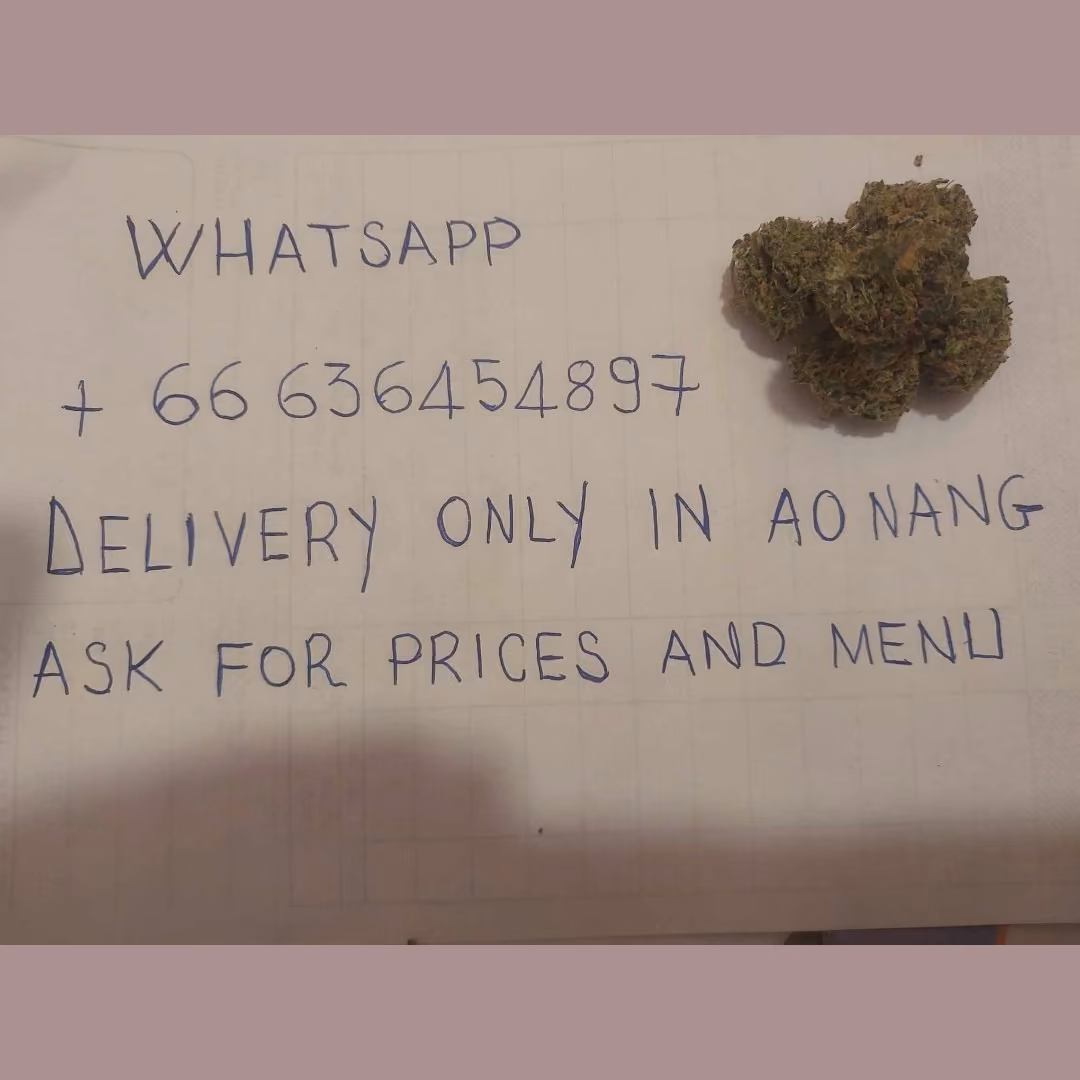 Cannabis Social Club Happy Cannabis Delivery - Weed Coffeeshop in Krabi logo