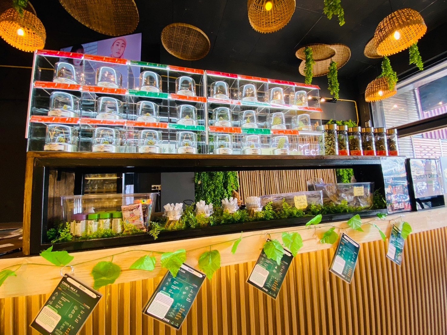 Cannabis By Thai Project