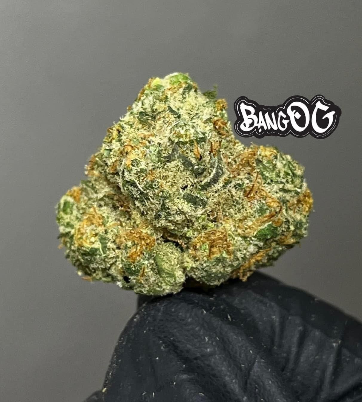 Bang Shop Cannabis