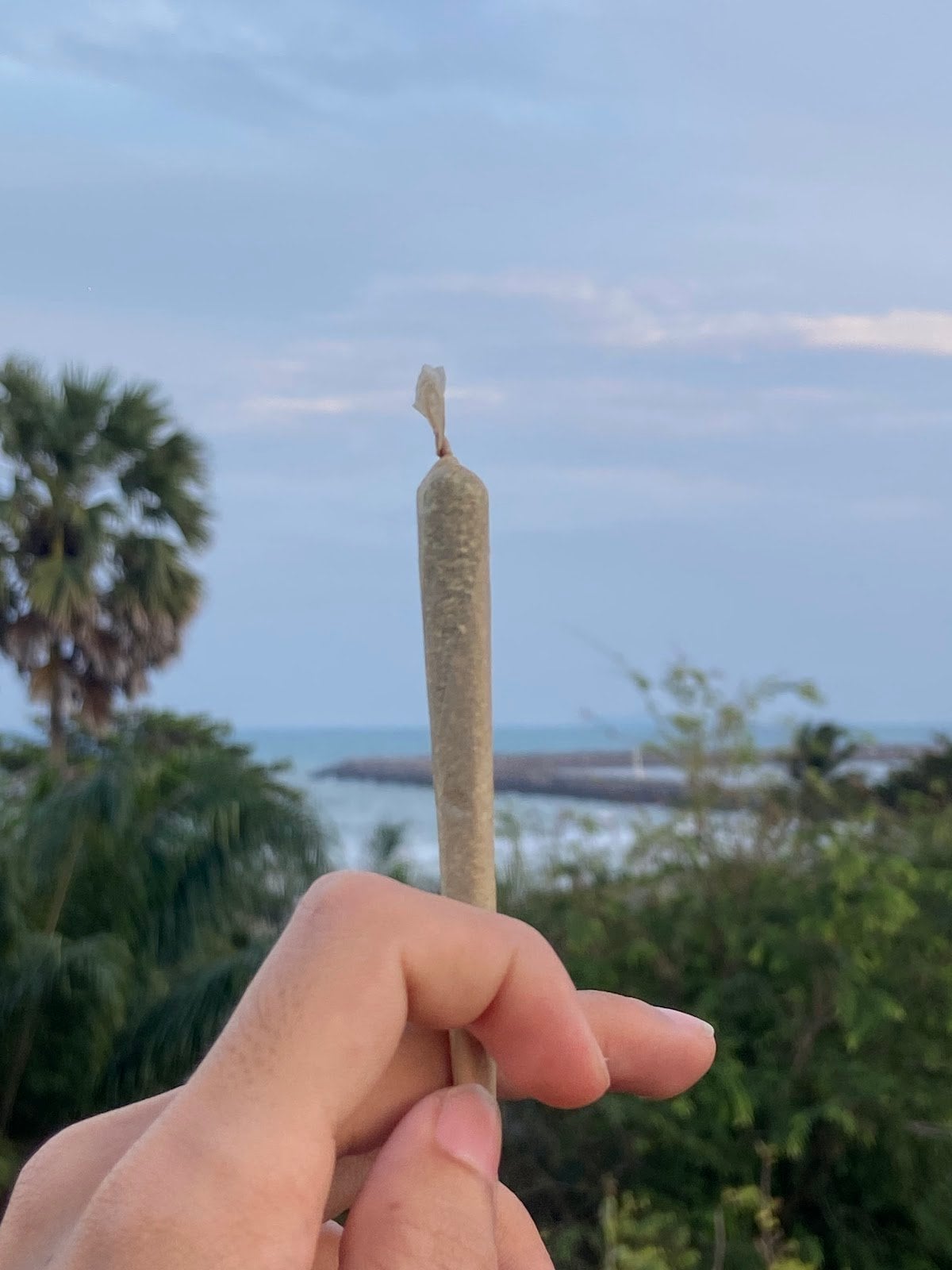 Highway Herb