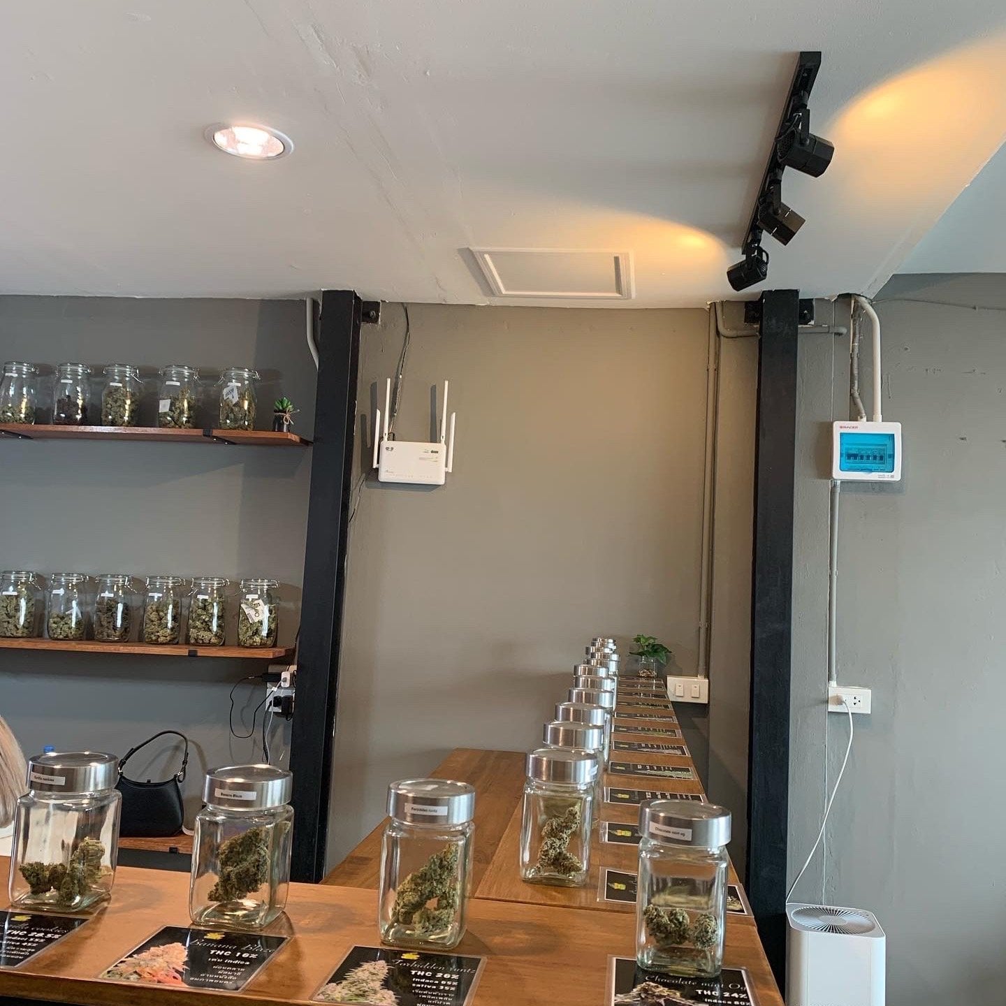Powerplant Cannabis Shop Indoor
