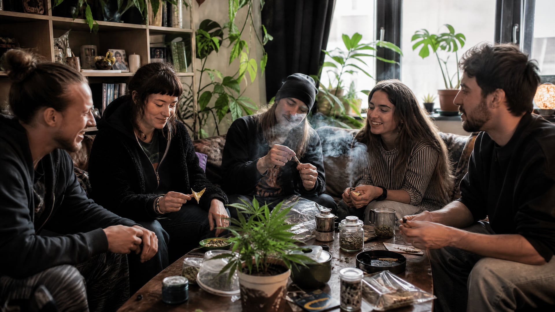 Netherlands neighborhood street with festival posters and cannabis social club atmosphere