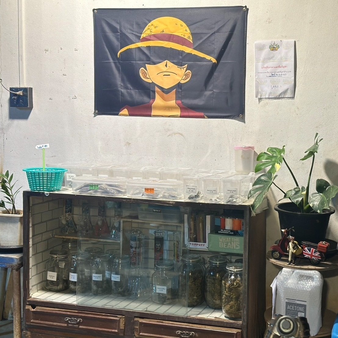 Mungkon Cannabis