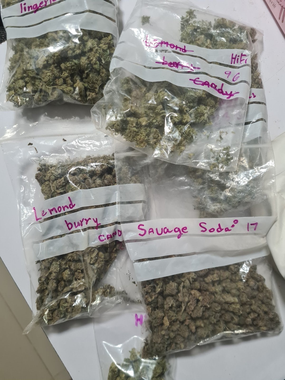 Ape's Bud