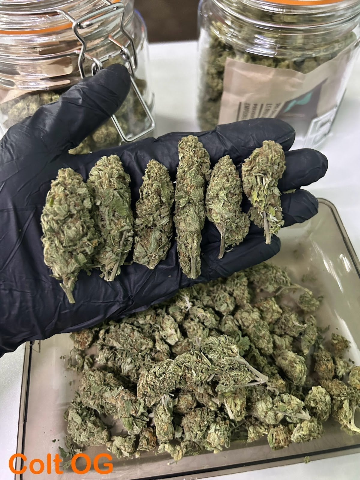 Full Weed Pattaya 60 G