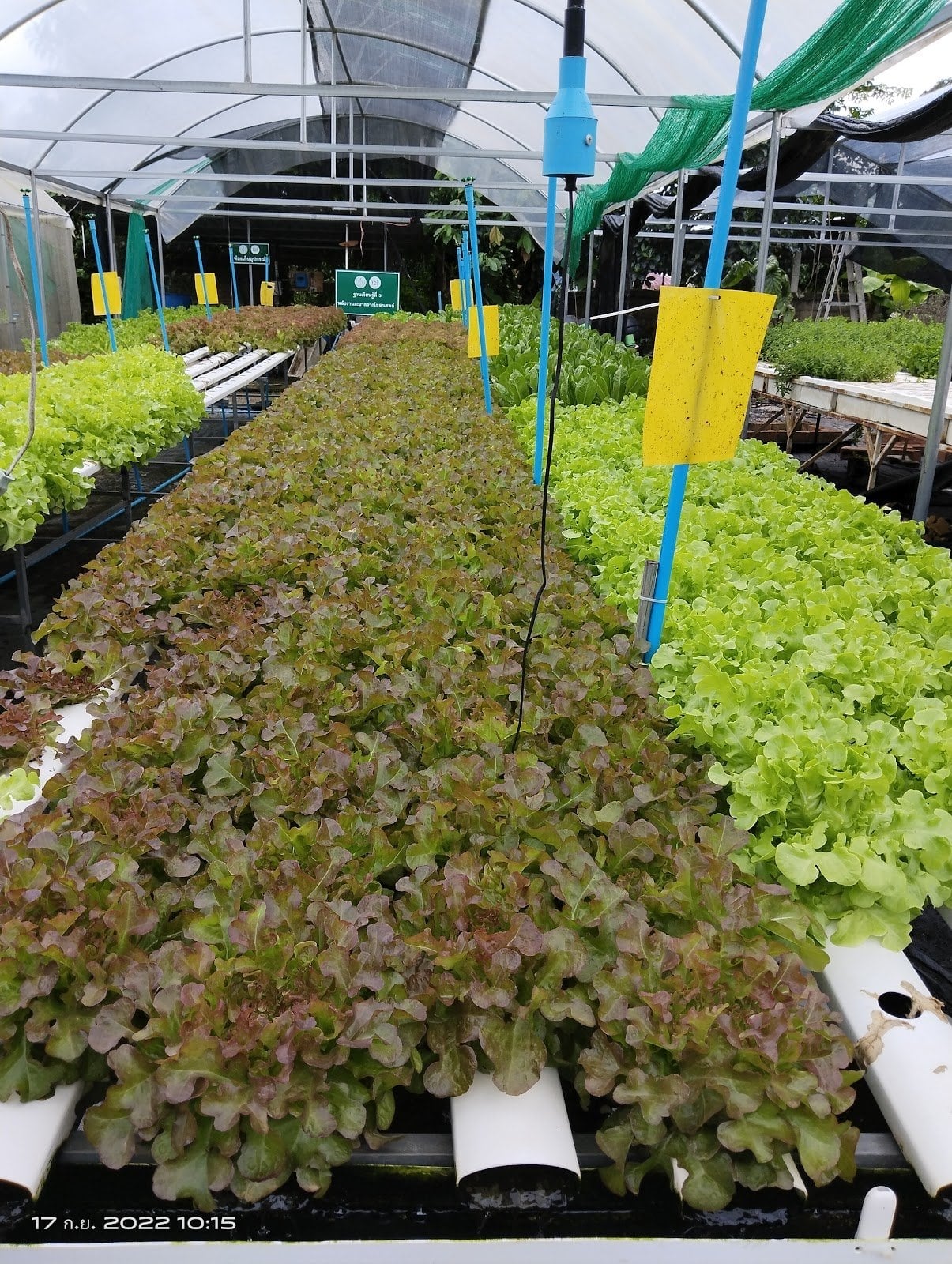 AJ & Nano Hydrofarm