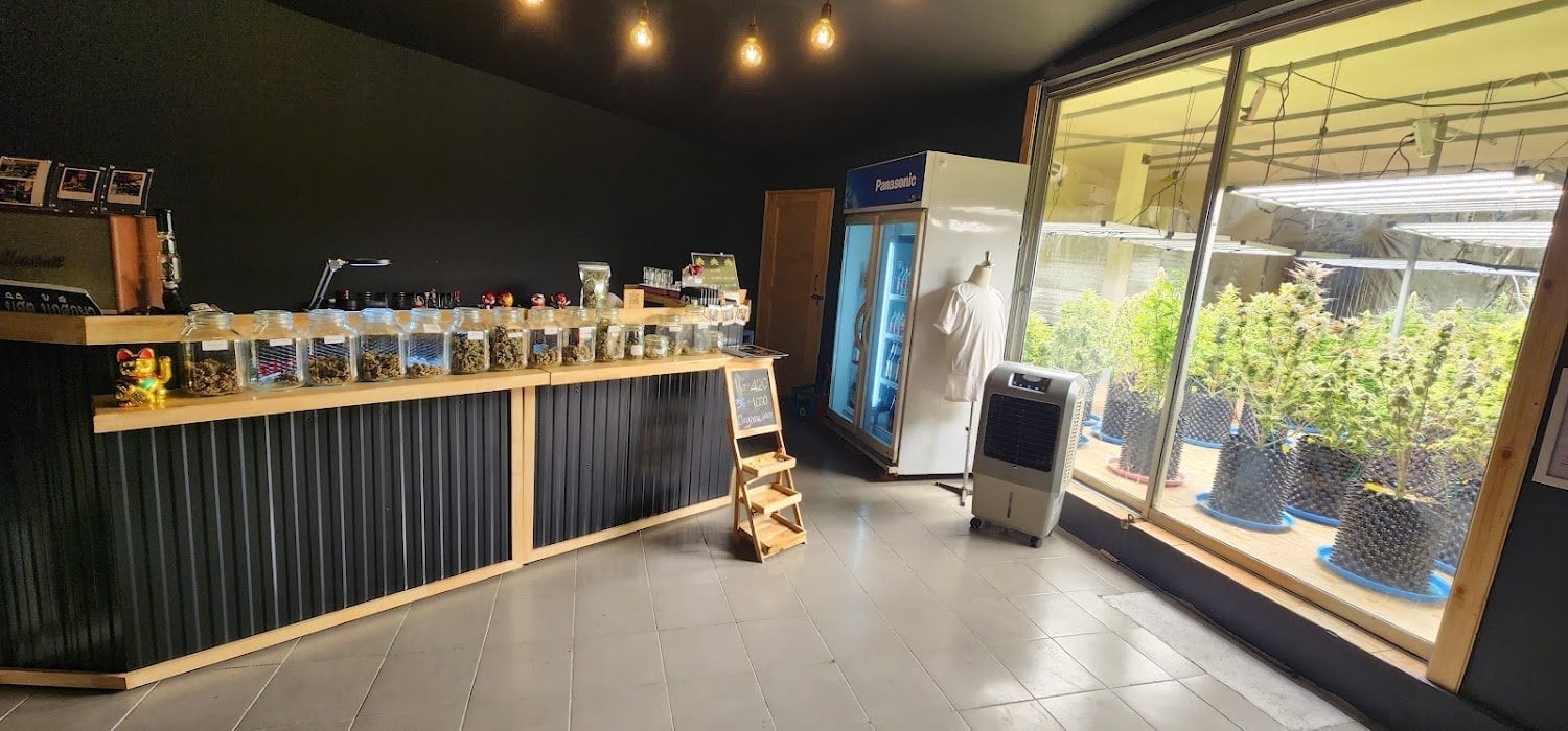 BC Green Grower Cafe