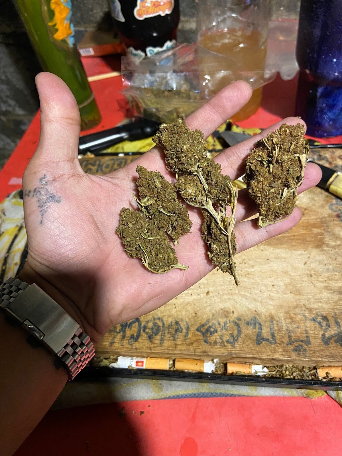 Catnabis Weedroom