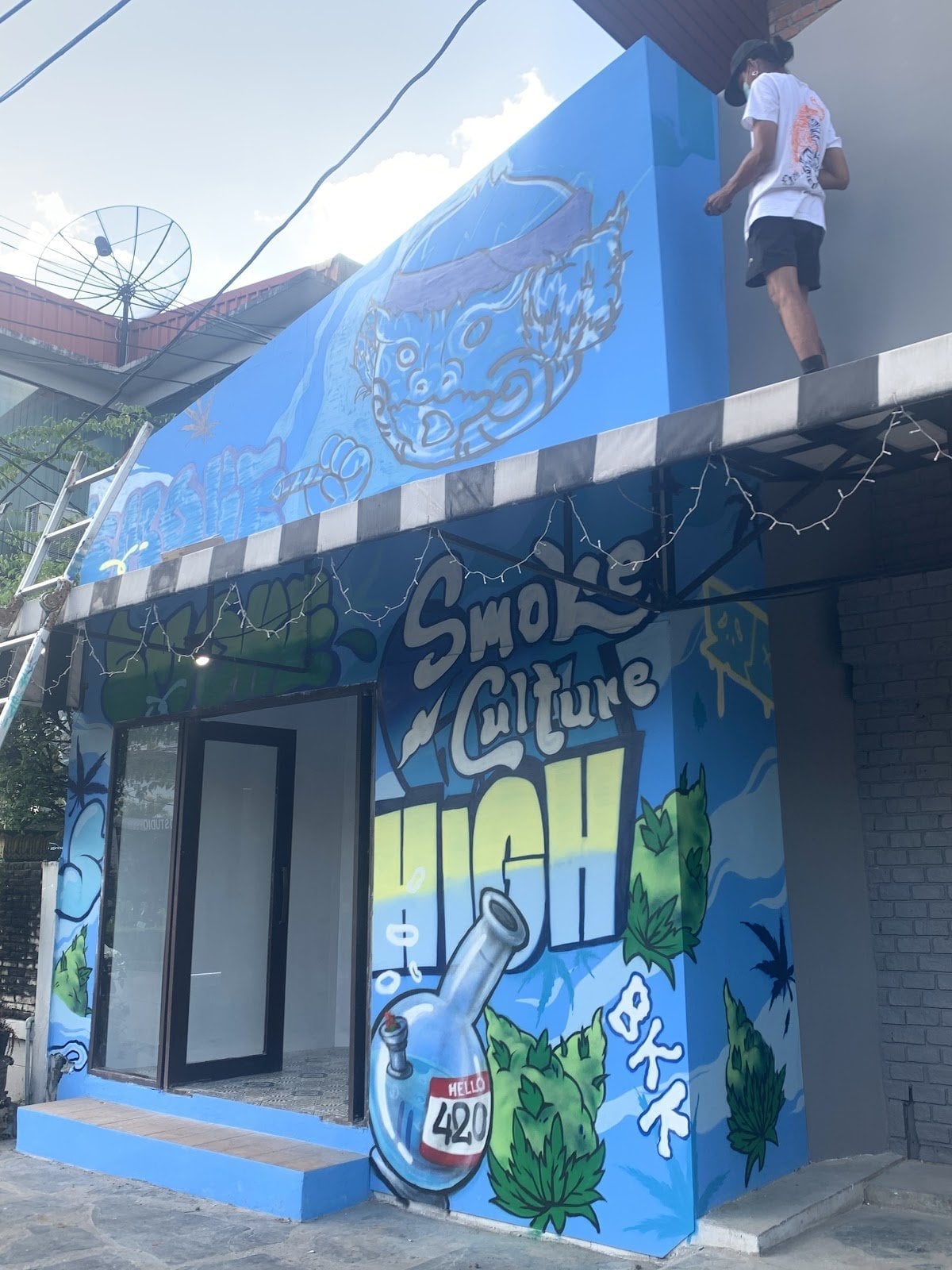 Culture Cannibee