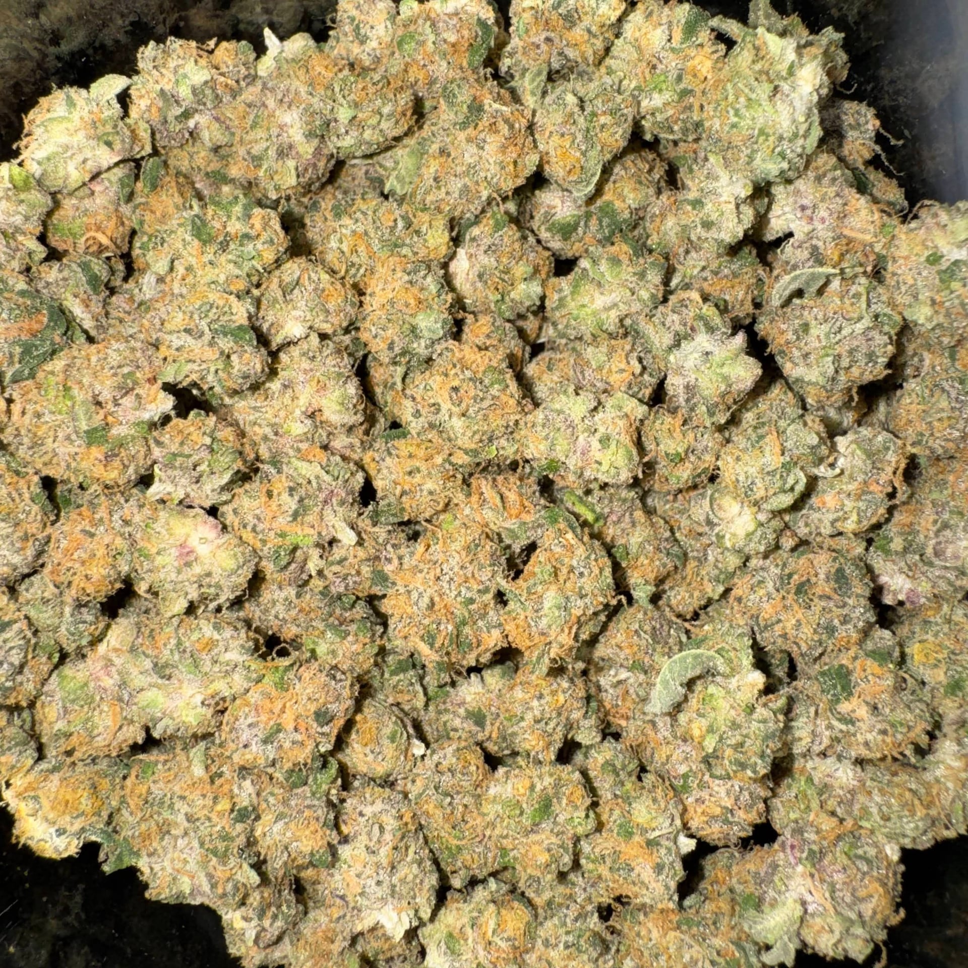 OG Boy Cannabis