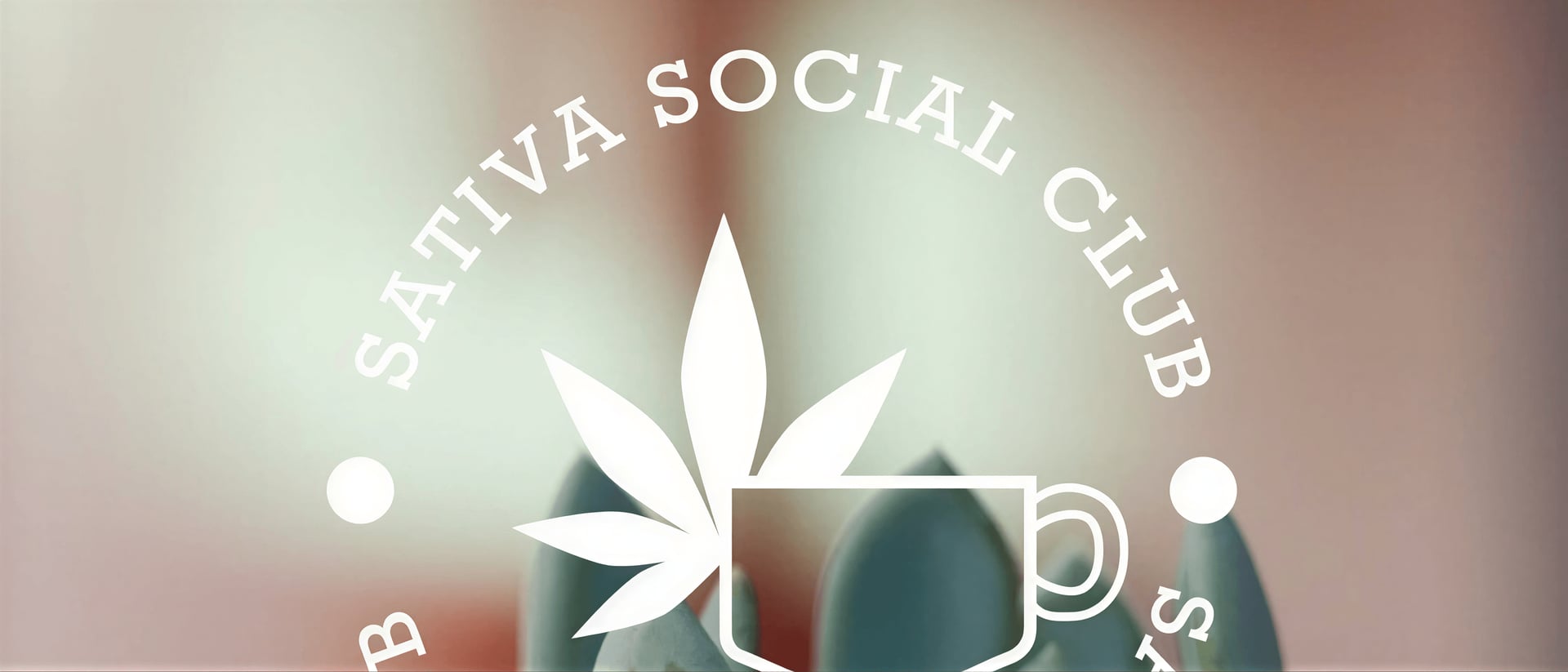 Sativa CSC Ibiza hero