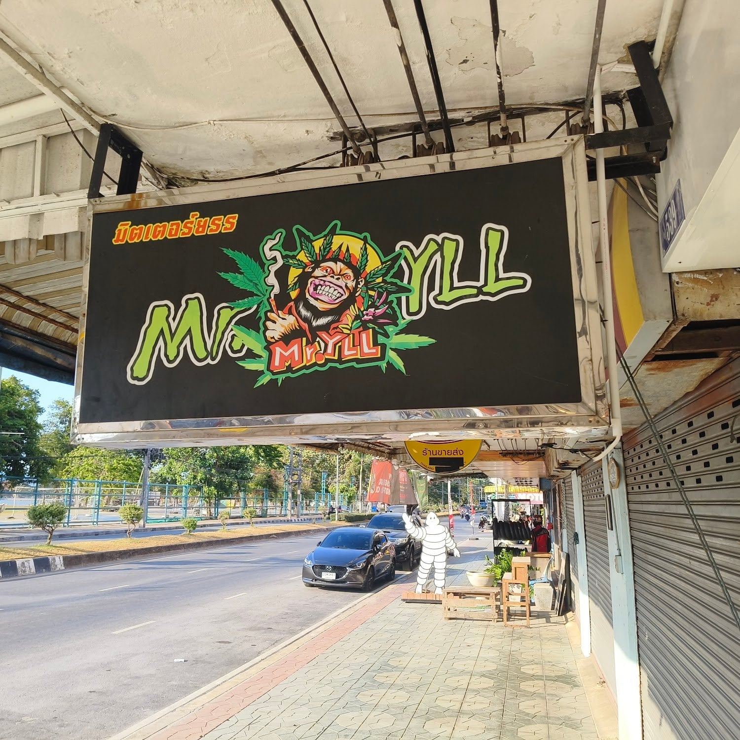 Mr.Yll