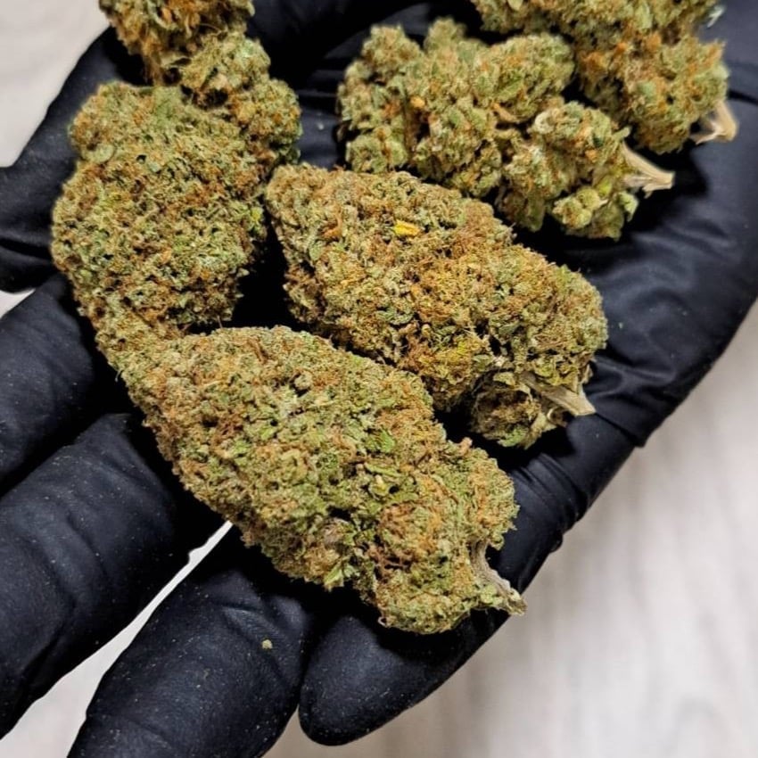Idol Farm Gacp Cannabis