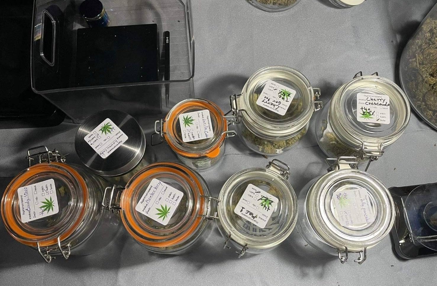 BaanHip Cannabis