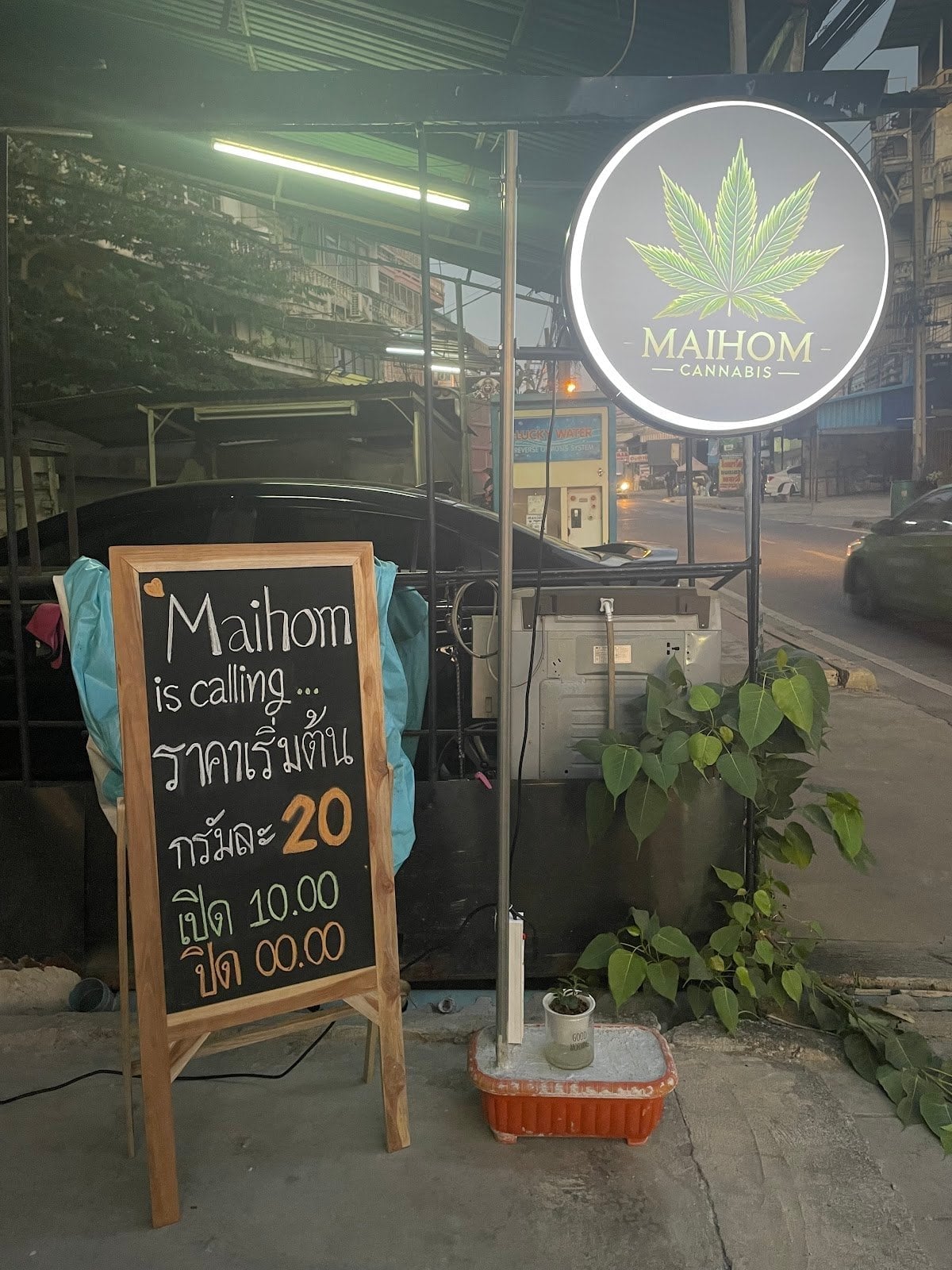 Maihom Cannabis