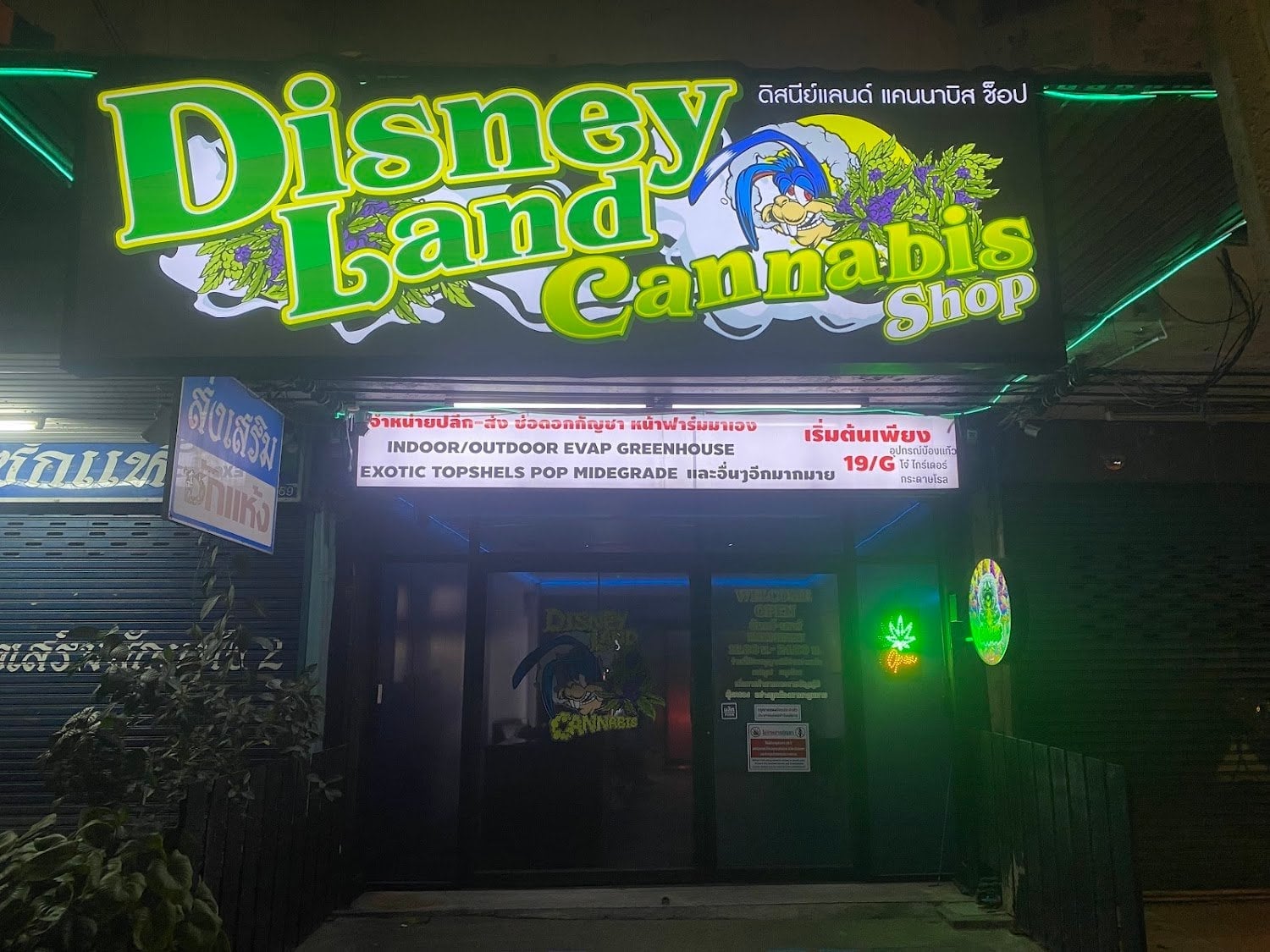 Disneyland Cannabis