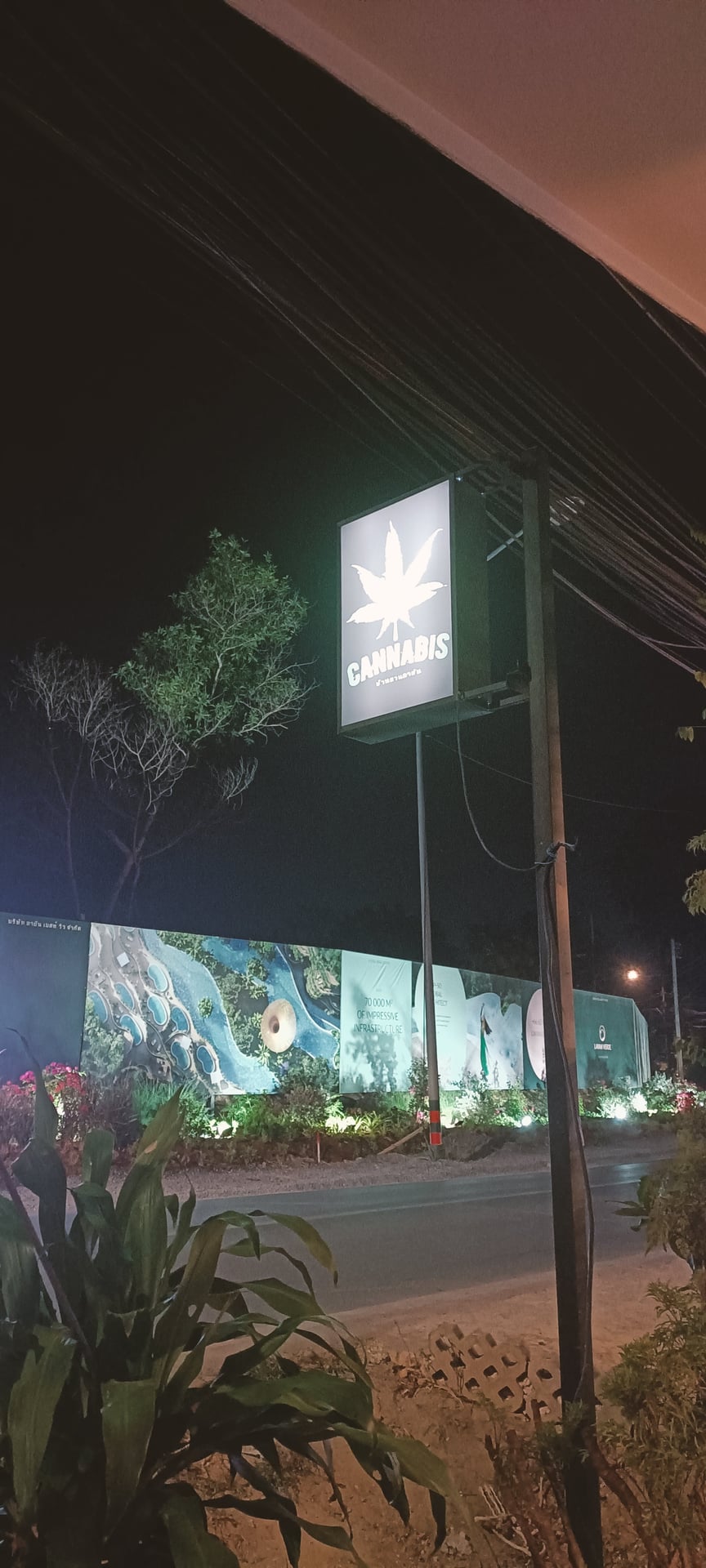 Naiyangboy Cannabis