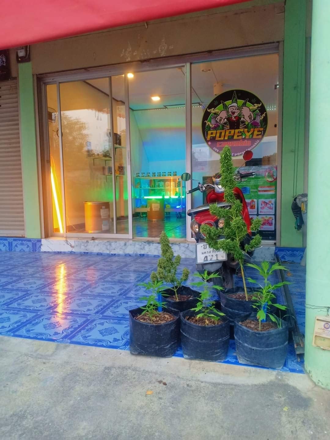 Popeye Cannabis