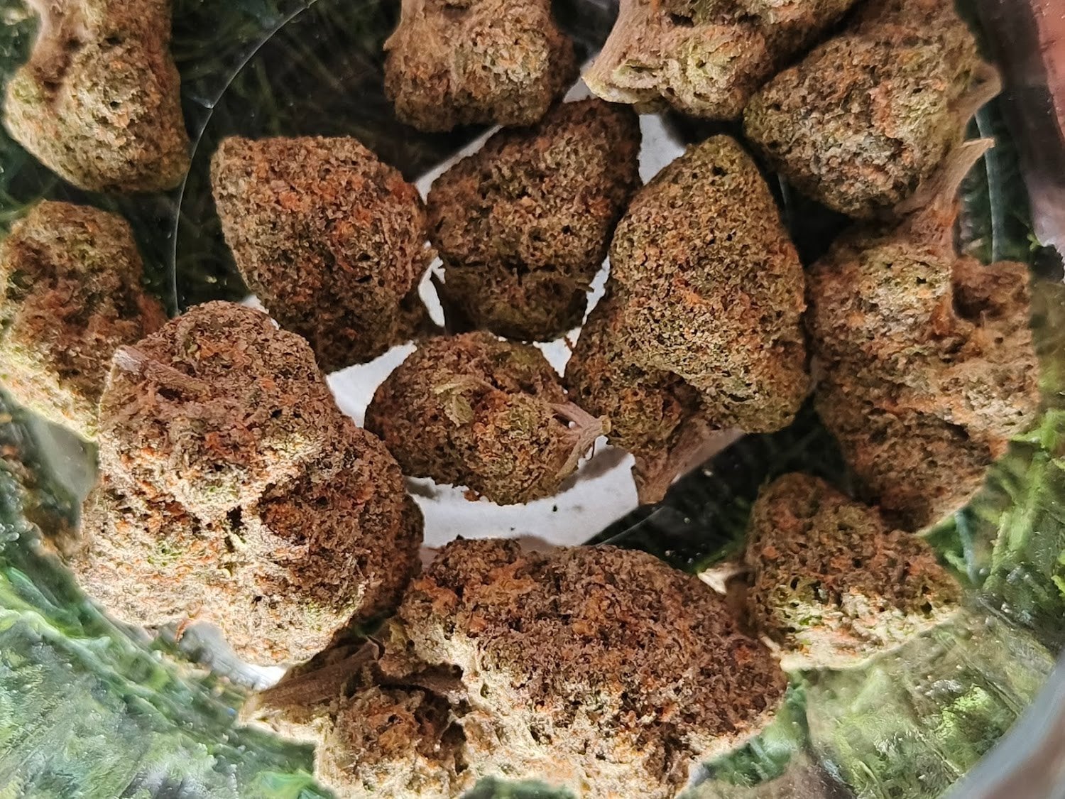 OnnutLand Cannabis Bar