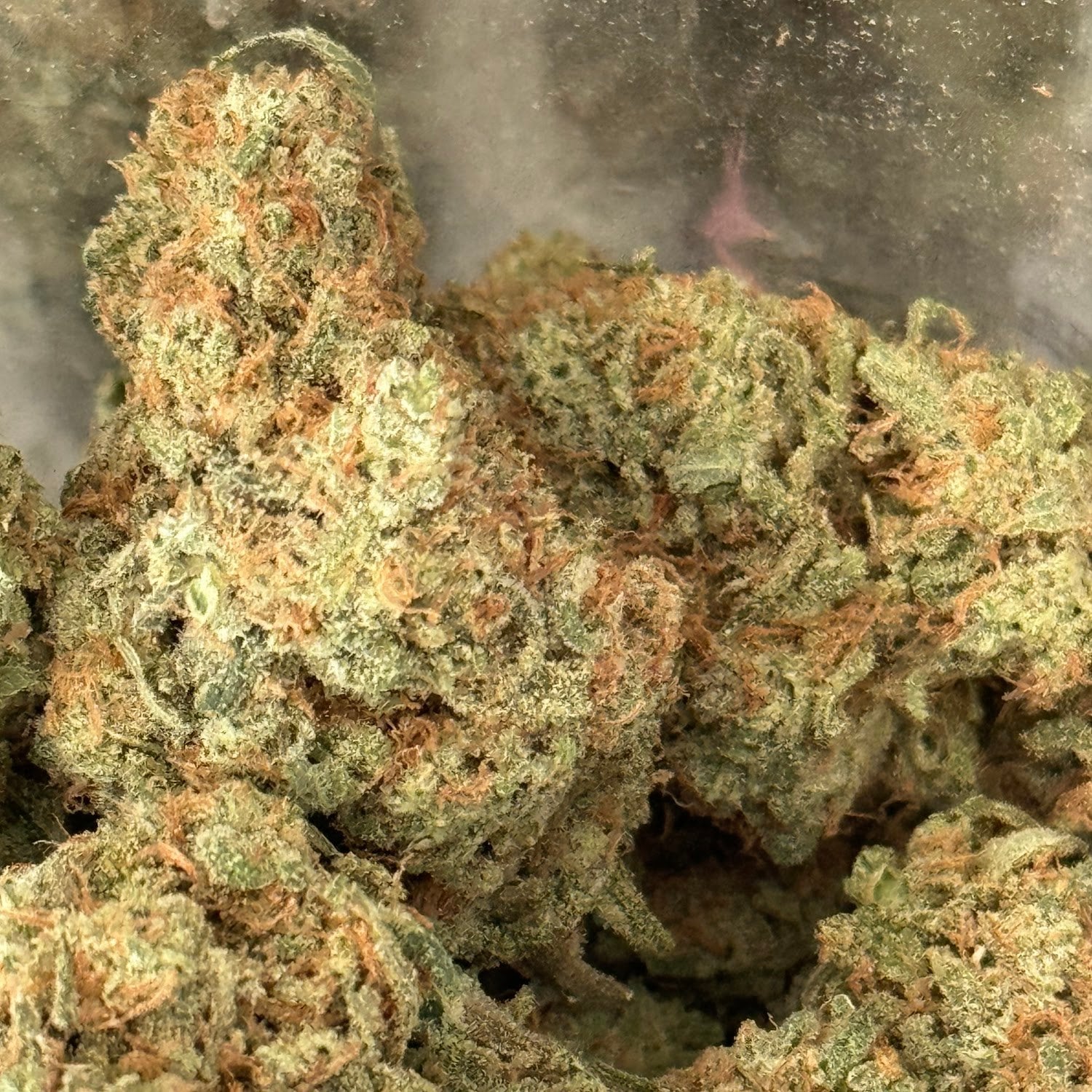 Kung Cannabis
