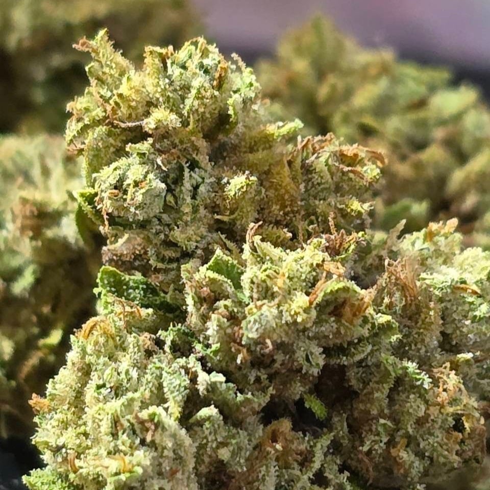 Marijuana One